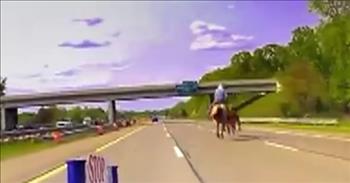 <p>Several drivers on a Michigan highway were treated to quite the scene as a runaway cow sprinted onto and across the roadway.</p>

<p>Animals provide humans with several necessary items. Dogs, cats and other similar beings make excellent, loyal and loving companions. The wool from sheep helps in the creation of pieces of clothing. Cows, pigs, deer and others provide humans with food.&nbsp;</p>

<p>However, as anyone knows, animals, even farm animals, can also provide humans with plenty of headaches. Members of law enforcement and animal wranglers in the Detroit area experienced this firsthand when a cow made a mad dash for freedom.</p>

<p><a href="https://www.youtube.com/watch?v=u2isf4iHil4">A video posted to YouTube</a> shows a cow sprinting alongside, onto and across the busy highway as a cowboy on horseback follows right behind.&nbsp;</p>

<p>The situation first began when the cow exited its enclosure on the farm. The video mentions that law enforcement was alerted and requested to assist with possible traffic control when it was thought to be headed for the highway.</p>

<p>At some point during its excursion, the cow became stuck in a gravel pit. The cow was freed from its predicament and thought it would try for freedom once again.</p>

<p>It was during the animal&rsquo;s second try at freedom when it made it onto the roadway, encountering traffic. In the video, several cars in the far-left lane can be seen zooming on by the galloping bovine.&nbsp;</p>

<p>But thanks to the cowboy on horseback, following closely behind the freedom-seeking beast, the cow was captured. The cowboy, as the video mentions, used rope to lasso and stop the animal.</p>

<p>Talk about fast food! Thank God the animal was captured before anyone was injured.</p>

<p>It&rsquo;s unclear what, if any, charges the cow may face. The runaway cow was not immediately available for comment.&nbsp;</p>

<p><em><a href="https://www.godtube.com/bible/genesis/1-21">Genesis 1:21</a> &ldquo;God created the large sea creatures, and every living creature that moves, with which the waters swarmed, after their kind, and every winged bird after its kind. God saw that it was good.&rdquo;</em></p>
