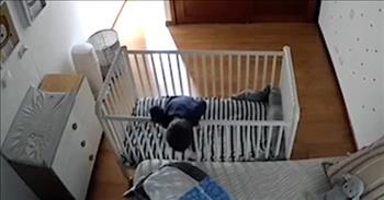 <p>One child was caught on camera pulling off a unique and hilarious crib escape maneuver and trying to cover his tracks.</p>

<p>Children are precious gifts from the good Lord. As any parent knows, children add much joy and love to life. While not every moment as a parent is sunshine and roses, the good outweighs the bad. But watching children grow, learn and interact with their surrounding environment is definitely one of the joys of being a parent.&nbsp;</p>

<p>However, as a hilarious <a href="https://www.youtube.com/watch?v=EGuoxXa7b00">video posted on YouTube</a> shows, one child has figured out a way to interact with his environment a little too well. With ingenuity and creativity, the child overcomes a major problem: getting out of his crib.</p>

<p>In the clip's opening seconds, the child places one leg on top of the crib. But likely feeling the distance from the crib to the floor was too great, the child nixes that idea. Instead, he comes up with a different, much more manageable and less dangerous plan.</p>

<p>The child lies on his stomach in the crib and then, using his right foot, pushes the crib away from the wall. After the initial move, the little guy stands and slowly but surely pushes the crib toward the bed in the room.</p>

<p>Once the crib is right up against the bed, the child finally makes his much anticipated and long-awaited escape from the crib. He lets himself fall face-first out of the crib and onto the bed.&nbsp;</p>

<p>He is finally free!</p>

<p>The child, while carrying a stuffed animal, walks by the crib and heads for the exit. However, before he leaves the room, he rethinks his escape plan just a tad. He wants to cover up his deed.&nbsp;</p>

<p>He turns around to the crib and pushes the bed against the wall. It&rsquo;s now where it began. In the child&rsquo;s mind, no one will ever suspect a thing.</p>

<p><em><a href="https://www.godtube.com/bible/ephesians/6-4">Ephesians 6:4</a> &ldquo;And, you fathers, do not make your children angry: but give them training in the teaching and fear of the Lord.&rdquo;</em></p>
