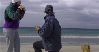 <p>One dog could not contain himself and ran around frantically as his owner popped the question.</p>

<p>Marriage is a huge step in life. It&rsquo;s a sacred commitment between two people, vowing before God and their loved ones that they will remain together through everything. But before saying &ldquo;I do&rdquo; a proposal must take place beforehand. It&rsquo;s a memorable, special, and as one dog displayed, an exciting and joyful event.&nbsp;</p>

<p>The <a href="https://www.youtube.com/watch?v=dMPuGzRxuEk">video posted on YouTube</a> begins with Sunny&rsquo;s owner, Jack, getting down on one knee, with the ring in hand, as he asks his girlfriend, Maddy, to marry him. The young woman was overcome with emotion by the unexpected display of affection and love. She buries her face in her hands as tears fall from her eyes.</p>

<p>But Maddy wasn&rsquo;t the only one feeling the emotions of the special moment. Sunny, a golden retriever, begins running up and down the beach. Sunny started zooming back and forth between their legs. Jack, noticing Sunny&rsquo;s excited reaction, wanted Sunny to calm down a bit because he was &ldquo;stealing my show.&rdquo;</p>

<p>Maddy, retelling the special moment, said she was watching Sunny closely because he had gotten a &ldquo;big burst of the zoomies.&rdquo;&nbsp;</p>

<p>She also added that Sunny, with his frenzied reaction, &ldquo;drew a big love heart around us.&rdquo;</p>

<p>Maddy called Jack&rsquo;s proposal and Sunny&rsquo;s overjoyed reaction &ldquo;a perfect moment.&rdquo;</p>

<p>Not only has Sunny been a big part of Jack and Maddy&rsquo;s relationship, including his involvement in their proposal, but he also has a role in their wedding.&nbsp;</p>

<p>&ldquo;Sonny will be the ring bearer,&rdquo; <a href="https://www.youtube.com/watch?v=dMPuGzRxuEk">Maddy said</a>. &ldquo;He was there when Jack gave me the first ring, and he&rsquo;ll be there when Jack gives me the second ring as well.&rdquo;</p>

<p>It&rsquo;s safe to say that Sunny is likely looking forward to the wedding and carrying the wedding rings for the happy couple.&nbsp;</p>

<p><em><a href="https://www.godtube.com/bible/ecclesiastes/3-12">Ecclesiastes 3:12</a> &ldquo;I am certain that there is nothing better for a man than to be glad, and to do good while life is in him.&rdquo;</em></p>
