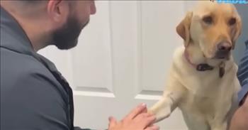 <p>A clip making the rounds on social media shows the sweet and caring way a vet obtained the trust of an animal obviously in pain.</p>

<p>Most animals are kind-hearted and affectionate creatures. Much like humans, animals want a place where they will be cared for and loved. However, despite their loving, tender nature, animals are also cautious. They want to be sure they aren&rsquo;t putting themselves in a precarious or dangerous situation.</p>

<p><a href="https://www.youtube.com/watch?v=NSyzasMuUeA">A video posted on YouTube</a> shows an animal who was injured but was apprehensive about allowing the veterinarian to examine its injured paw. The animal was brought in for an injury to its left front paw.</p>

<p>The short video begins with veterinarian Dr. Thomas Hamilton sitting on the floor in front of the furry, four-legged patient. The dog starts by essentially greeting the doctor. The dog reaches out its right paw to the young medical professional.&nbsp;</p>

<p>The doctor shakes the dog's paw but still needs to see the other front paw to inspect the injury. The doctor points to the left paw and asks the animal, &ldquo;Can I have that one?&rdquo;</p>

<p>Again, the animal remains unsure and responds by giving the doctor its right paw.&nbsp;</p>

<p>The doctor then scoots closer to the animal, saying, &ldquo;I&rsquo;m trying to help you.&rdquo;</p>

<p>Dr. Hamilton opens both hands to the animal, allowing the dog to smell both hands. The dog responds once again by giving the vet its right paw.</p>

<p>After firmly grasping the animal&rsquo;s right paw with both hands, he then reaches for the injured paw. The animal, after having warmed up to Dr. Hamilton, relents and allows him to examine the animal&rsquo;s injured limb.</p>

<p>The vet performs a series of maneuvers on the animal&rsquo;s paw. He determines that a cracked nail was giving the animal pain. He advises the owner to trim the animal&rsquo;s nails. Nothing more is apparently needed.</p>

<p><em><a href="https://www.godtube.com/bible/proverbs/12-10">Proverbs 12:10</a> &ldquo;An upright man has thought for the life of his beast: but the tender mercies of the wicked are cruel.&rdquo;</em></p>
