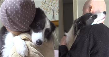 <p>A woman battling cancer had a furry, four-legged best friend anxiously awaiting her return home, and their sweet reunion is enough to cause even the most stoic person to shed a tear.</p>

<p>Cancer is an evil word. Cancer does nothing but harm and destroys. It&rsquo;s a life-changing diagnosis that&rsquo;s hard on everyone &ndash; the patient, their family and friends. Also, as one tear-jerking video shows, a cancer diagnosis is also challenging for patients&#39; pets.</p>

<p>The <a href="https://www.youtube.com/watch?v=4yOwIvPDmJo">clip posted on YouTube</a> begins with Sola essentially picking up that something is wrong with her owner, Yun J. The animal hugs her owner and lets out a light whimper, almost signifying that it understands the situation.&nbsp;</p>

<p>In the next scene, Yun J sits in a salon chair as a barber cuts her hair. Sola is then confronted with Yun J&rsquo;s new haircut. Those who watch the clip will see the dog take in the change. Again, the animal seems to understand that the shift means something monumental is about to take place.&nbsp;</p>

<p>The dog took this especially hard when Sola&rsquo;s owner had to go away and stay at the hospital for several months. But before Yun J left for the medical facility, Sola added something to the suitcase. The dog places one of her toys in the luggage.</p>

<p>But as the video shows, even though they were away, Sola and Yun J managed to spend time together. Yun J would FaceTime with Sola, with the dog watching as she turned her head back and forth, taking in the picture and sounds of her best friend.</p>

<p>Then, nine months into her hospital stay, Sola finally interacts with Yun J again. Sola could not contain her excitement. She whimpered and whined with joy, practically jumping over her doggy sibling.</p>

<p>Before the clip concludes, Yun J makes her return home to her furry, four-legged best friend. Sola, once again, cannot contain herself. It&rsquo;s a sweet and touching reunion between two best friends.</p>

<p>Animals are special beings. They are much smarter than most like to admit. Those furry, four-legged creatures continually show they are extremely intelligent and able to grasp the gravity and meaning of situations.&nbsp;</p>

<p><em><a href="https://www.godtube.com/bible/proverbs/12-10">Proverbs 12:10 </a>&ldquo;A righteous man regards the life of his beast: but the tender mercies of the wicked are cruel.&rdquo;</em></p>
