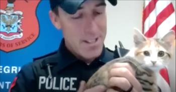 <p>A police officer responded to a scene where a cat was abused and ended up adding the furry, four-legged animal to his family.</p>

<p>Animals, like humans, want to be somewhere where they will receive tender love and care. No one, animals included, wants to be abused or mistreated. Members of the furry, four-legged community are also a part of God&rsquo;s creation. As such, they are deserving of humane treatment and kindness.</p>

<p>Thankfully, one officer came to the rescue of a cute, cuddly cat who was being mistreated. <a href="https://www.youtube.com/watch?v=ffgeANZDTho">In a clip posted on YouTube</a>, Officer Timothy Rigg explained how he came to be the owner of a cat even when he believed that would have never ever happened.&nbsp;</p>

<p>Timothy said he responded to a call where a cat, Penny, had been thrown out of the window. Once on the scene, Timothy found the cat frightened and hiding under a couch.</p>

<p>However, the animal climbed up on his shoulder. It wasn&rsquo;t too soon after that the officer realized Penny would be coming home with him for good.</p>

<p>&ldquo;So, I&rsquo;ve always been around animals, but I never thought I&rsquo;d own a cat,&rdquo; <a href="https://www.youtube.com/watch?v=ffgeANZDTho">Timothy said</a>. &ldquo;But I instantly knew Penny and I were going to be together forever.&rdquo;</p>

<p>Following the incident, the animal was scared to death, according to Timothy. The cat was shivering and shaking, unsure what to make of the situation. However, when the cat was on Timothy&rsquo;s shoulder, she felt safe and secure, purring the entire time.</p>

<p>Even when Timothy tried to drop the cat off at the animal shelter, Penny refused to let go. She did everything she could to stay on Timothy&rsquo;s shoulder.&nbsp;</p>

<p>At that point, Timothy asked if he would be able to take Penny home with him. And now, after a three-week foster process, Timothy, his wife and Penny will officially become a family.&nbsp;</p>

<p><em><a href="https://www.godtube.com/bible/proverbs/12-10">Proverbs 12:10</a> &ldquo;An upright man has thought for the life of his beast, but the hearts of evildoers are cruel.&rdquo;</em></p>
