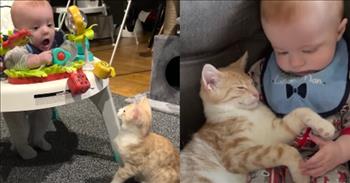 <p>Prepare to melt as a cat and a baby act like twins in this delightful video.&nbsp;</p>

<p>Wilbur became the pawfect best friend to his human brother Charlie. Wherever Charlie is, it&rsquo;s a safe bet Wilbur is right by his side. It doesn&rsquo;t matter if it&rsquo;s lunchtime, nap time, or playtime. They are the best of friends. Amanda, Charlie&rsquo;s mom, truly wonders if Wilbur thinks he&rsquo;s a baby rather than a cat.&nbsp;</p>

<p>Wilbur expects to have the last bite of baby food when Charlie is getting his meals. In fact, Wilbur loves baby food so much Amanda had to childproof the house early because Wilbur was raiding the cupboards in search of smashed peas and carrots.&nbsp;</p>

<p>As if that isn&rsquo;t enough to make your heart melt, wait until you watch a clip of Wilbur cuddling and napping with an Elmo toy that he claimed for his own. Charlie&rsquo;s sweet grandmother had gotten a stuffed Elmo for Charlie. But once Wilbur laid paws on the furry character, he claimed it has his own. That&rsquo;s okay. Charlie doesn&rsquo;t seem to mind and prefers to play in his bouncer with Wilbur, batting at the toys too.&nbsp;</p>

<p>Amanda says she couldn&rsquo;t help but capture the special and precious interactions between Charlie and Wilbur because they seem to have a brotherly dynamic she has never seen before. We know cats love to be around their human family members.&nbsp;</p>

<p>But I imagine most cats would stray away from babies and toddlers. They tend to be loud, drool, and make a lot of noise. Wilbur not only doesn&rsquo;t mind it, he follows Charlie everywhere he goes. Although I wonder if Wilbur is willing to get in the tub right along with Charlie during bath time.&nbsp;</p>

<p>You will love this delightfully sweet and humorous video as you watch the brotherhood unfold between a precious baby boy and a striped orange and white cat. Thank God we&rsquo;ve been given friends in the form of four legs, fur coats, and whiskers.&nbsp;</p>
