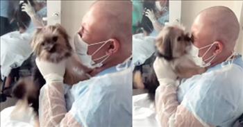 <p>A young woman battling cancer was reunited with her four-legged and furry friend following a monthslong stay in a hospital.</p>

<p>Life is often not a fair or fun experience, bringing about unexpected and undeserved hurt, heartache and sickness. This is a cold, hard fact of life that can be hard to explain at times, especially when the person suffering from cancer, or some other horrible disease is a child or a young person. But no matter how bad a situation, animals always make things better, even if for just a few seconds.</p>

<p>A <a href="https://www.youtube.com/shorts/oKJhTQhG1nY">clip posted on YouTube</a> captures a young woman&rsquo;s momentary happiness and joy during her cancer battle. The short video starts with the young woman, who has been in the hospital for a month, being wheeled toward the hospital&rsquo;s entrance.</p>

<p>As she is being pushed toward the doors, a group of people, one who appears to be a medical professional, given her long white coat, enter the building. In her arms, the woman in the white coat carries a small being. It&rsquo;s hard to make out what she is holding, but as the clip progresses, viewers quickly find out.</p>

<p>The creature in the woman&rsquo;s arms is a dog, which she hands to the young person in the wheelchair. Because of the woman&rsquo;s extended stay in the hospital, she has been unable to see her furry friend. The two pals had been separated.</p>

<p>But they are apart no longer!</p>

<p>It&rsquo;s an emotional reunion. The young woman cannot contain herself as she immediately bursts into tears. The little animal is also pleased to be back with its friend. The dog is a ball of energy, unable to stop moving, constantly licking the sick young woman&rsquo;s face. It&rsquo;s a sweet moment during what has likely been an unbearable and grueling past few weeks.</p>

<p><em><a href="https://www.godtube.com/bible/genesis/1-21">Genesis 1:21</a> &ldquo;And God created great whales, and every living creature that moves, which the waters brought forth abundantly, after their kind, and every winged fowl after his kind: and God saw that it was good.&rdquo;</em></p>
