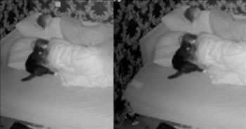<p>One furry, four-legged creature&rsquo;s frenzied nighttime activities, which make its owners getting any shuteye nearly impossible, were caught on camera.</p>

<p>All animals, especially cats, have very different, varying personalities. Anyone who has ever had a cat knows that no two felines are the same. For example, maybe Cat A enjoys being rubbed only on its head in a particular fashion. Well, Cat B, unlike Cat A, enjoys having its back massaged in a circular or back-and-forth motion. One cat may love being held and carried around the house. The other feline would scratch you to pieces for even attempting such a maneuver.&nbsp;</p>

<p>Similarly, not all cats have the same level of energy. Most felines prefer to lounge around, while others enjoy a much more active lifestyle, as a <a href="https://www.tiktok.com/@sheldon_theblackcat/video/7258725512196017413?embed_source=121355058%2C121351166%2C121331973%2C120811592%2C120810756%3Bnull%3Bembed_card_play&amp;refer=embed&amp;referer_url=www.sunnyskyz.com%2Fhappy-videos%2F12658%2FCaught-On-Camera-Cat-039-s-Comedy-Show-Keeps-Owner-Awake-All-Night&amp;referer_video_id=7258725512196017413">video posted on TikTok</a> hilariously shows.&nbsp;</p>

<p>The short, <a href="https://www.sunnyskyz.com/happy-videos/12658/Caught-On-Camera-Cat-039-s-Comedy-Show-Keeps-Owner-Awake-All-Night">54-second clip</a> documents the nocturnal escapades of Sheldon, a black and white cat. As the video shows, Sheldon is quite the active kitty. He begins his nighttime of fun by playing a game with the feet and legs of his female owner, who wants nothing more than to get some sleep.&nbsp;</p>

<p>Sheldon, though, has much different, rowdy and energetic plans in mind.&nbsp;</p>

<p>After Sheldon grows tired of playfully attacking the female&rsquo;s feet and legs, he sets his sights a little higher. The cat repeatedly jumps up into the bed, trying to bite and hold onto her arm and hand.&nbsp;</p>

<p>Then, Sheldon moves even higher on the poor woman&rsquo;s body. The cat lays next to, practically on top of the woman&rsquo;s face. At one point, it appears Sheldon is boxing the female in the face as he repeatedly paws at her head.&nbsp;</p>

<p>To say Sheldon is active once the sun goes down and while his owners are trying to sleep would be a severe understatement. Sheldon wants attention, wants to play and he&rsquo;s not concerned with the time of day.</p>

<p><em><a href="https://www.godtube.com/bible/genesis/1-21">Genesis 1:21</a> &ldquo;And God created the great whales, and every living creature that moves, which the waters brought forth abundantly, after their kind, and every winged fowl after his kind: and God saw that it was good.&rdquo;</em></p>
