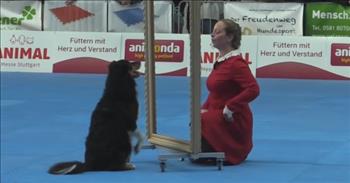 <p>A young woman and her four-legged, furry friend performed a stunning and captivating dance routine in which the two perfectly mimicked one another.</p>

<p>Animals consistently and constantly prove that they possess more intelligence than most people would like to admit. Sure, animals act on instinct, behaviors that are hard-wired into them. But they have shown the ability to also learn new skills, tricks and, as one video shows, dance moves.</p>

<p>In a <a href="https://www.youtube.com/watch?v=RiMkgp07Pjs">clip posted on YouTube</a>, Elke Boxoen and her dog Jessy pulled off an intricately choreographed dance routine during the 2019 FCI World Championship Free Style Final.&nbsp;</p>

<p>As with any dance number, the steps must be perfectly nailed, with no false moves, or all that time, work and preparation are entirely in vain. However, that&rsquo;s always easier said than done, especially when your dance partner is a furry, four-legged animal. But Elke and Jessy make it look easy!</p>

<p>The clip begins with Elke and Jessy walking out onto the floor as a handful of spectators stand along the outside of the floor, ready and eager to take in the performance. In the center of the floor is a prop. It appears to be a mirror stand with the piece of glass removed.</p>

<p>About a minute into the clip, after Elke and Jessy have taken their positions, the music begins, and their mesmerizing routine gets underway. Most of the clip involves Elke and Jessy standing on either side of the mirror, perfectly matching the other&rsquo;s movement.&nbsp;</p>

<p>Their timing is nearly perfect!&nbsp;</p>

<p>But just when you thought their performance could not get any more impressive, Elke and Jessy raise the bar even further. Around the 2:35-minute mark of the clip, Jessy and Elke perform a series of moves with their backs to one another. They even walk backward and do so in perfect synchronicity!</p>

<p>Those watching the captivating number erupt in a much-deserved round of applause, showing their love and appreciation for Elke and Jessy&rsquo;s impressive display.&nbsp;</p>

<p><em><a href="https://www.godtube.com/bible/genesis/1-21">Genesis 1:21</a> &ldquo;And God created great whales, and every living creature that moves, which the waters brought forth abundantly, after their kind, and every winged fowl after his kind: and God saw that it was good.&rdquo;</em></p>
