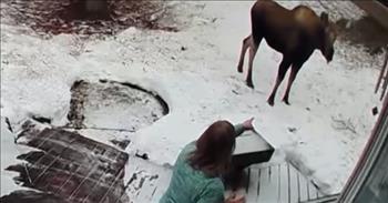 <p>A woman brought out the big guns &ndash; her &ldquo;mom voice&rdquo; - when she spotted her tiny, defenseless 6-pound Yorkshire terrier being chased by a massive moose.&nbsp;</p>

<p>Mothers seemingly have an endless arsenal of weapons and abilities when it comes to surveilling and correcting their children. Most know that mothers have eyes in the back of their heads. They basically develop a sixth sense, somehow able to detect their children&rsquo;s&nbsp;</p>

<p>movements without even looking in their direction. But, without a doubt, the most paralyzing and impactful ability in a mother&#39;s arsenal is the &ldquo;mom voice.&rdquo;</p>

<p>Everyone is familiar with the &ldquo;mom voice.&rdquo; It&rsquo;s a stern and angry tone that signals that trouble is brewing. At this time, it&rsquo;s best to carefully listen to the words that come out of Mom&rsquo;s mouth. As it turns out, &ldquo;mom voice&rdquo; is even powerful enough to cause a 1,000-pound moose to stop in its tracks, according to <a href="https://www.youtube.com/watch?v=g9hrNq6V2N4">one video posted on YouTube</a>.</p>

<p>Cathy Diehl-Robbins and her family live in Alaska. She states they live in the state for the wildlife and have had many members of the wildlife community show up in their backyard.&nbsp;</p>

<p>One day, Cathy saw a moose terrorizing the family&#39;s smallest member. Cathy employed her &ldquo;mom voice&quot; while defending the dog.&nbsp;</p>

<p>She yelled, &ldquo;Hey, hey, hey, hey! No!&rdquo; at the animal, causing the moose to freeze and stop chasing the miniature canine.&nbsp;</p>

<p>Cathy&rsquo;s husband, in an interview, laughingly said that he is also familiar with that tone, which caused a large wild animal to freeze in fear.</p>

<p>&ldquo;It&rsquo;s the &lsquo;mom voice&rsquo; and it&rsquo;s the &lsquo;husband voice,&rsquo;&rdquo; he said.</p>

<p>Cathy added that she has the final say and authority over everyone - human or animal &ndash; who steps in her yard.</p>

<p>&ldquo;As I always say, &lsquo;It&rsquo;s my yard, my rules,&rsquo;&rdquo; Cathy said. &ldquo;You come into my yard, it&rsquo;s my rules. Behave yourself.&rdquo;</p>

<p><em><a href="https://www.godtube.com/bible/proverbs/12-10">Proverbs 12:10</a> &ldquo;An upright man has thought for the life of his beast, but the hearts of evildoers are cruel.&rdquo;</em></p>

