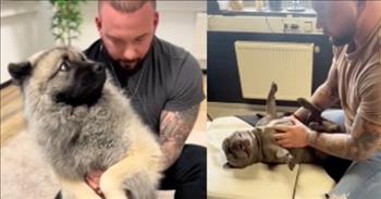 <p>One man, specializing in fixing and healing animals suffering from back pain, had some of his cute, four-legged patients hysterically reacting to him and his seemingly mystifying work.</p>

<p>Watching a loved one suffer is one of the worst feelings in the world. It&rsquo;s gut-wrenching seeing someone deal with excruciating and debilitating pain. There isn&rsquo;t any length that we couldn&rsquo;t go to help ease their pain, including changing places with them.&nbsp;</p>

<p>The same can be said for our pets. Those dogs and cats are precious family members whose health and comfort are massive concerns for every pet owner. We want them to be happy and enjoy life.&nbsp;</p>

<p>One man, who understands that all beings, including animals, desire to experience a happy, healthy and pain-free life, is a dog chiropractor. The man helps animals experiencing back pain to feel and be healthy, <a href="https://www.sunnyskyz.com/happy-videos/12943/Doctor-Heals-Dogs-With-Back-Pain-Captures-Adorable-And-Funny-Reactions-On-Video">according to Sunny Skyz</a>.</p>

<p>However, as a <a href="https://www.facebook.com/watch/?v=1141337240183854">video posted on Facebook shows</a>, some dogs aren&rsquo;t too sure what to make of the doctor&rsquo;s methods. They react with looks of bewilderment and amazement, unsure of what just happened to them.</p>

<p>As the clip shows, the animal chiropractor pops the back and neck of one dog, and the animal is completely confused. In both instances, the animal leans away from the doctor, with eyes wide, trying to comprehend what just happened.&nbsp;</p>

<p>At one point in the clip, the doctor gently holds one dog&rsquo;s face in his hands before popping its neck. The dog reacts slowly, slightly turning its head, with its eyes wide and focused on the man.&nbsp;</p>

<p>In several instances, after applying the healing maneuvers on the animals, the man responds by further comforting the animal. He kisses them on the head or pets them to help the canines overcome the shock of what took place.&nbsp;</p>

<p>No one wants to go through life experiencing debilitating pain and discomfort, including animals.</p>

<p><em><a href="https://www.godtube.com/bible/proverbs/12-10">Proverbs 12:10</a> &ldquo;An upright man has thought for the life of his beast, but the hearts of the evildoers are cruel.&rdquo;</em></p>
