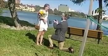 <p>One young man received assistance from an unexpected source as a police officer helped him set up his marriage proposal.&nbsp;</p>

<p>Proposing marriage is a big, monumental step for every couple. It&rsquo;s the question that sets everything else in a married couple&rsquo;s life in motion. There would be no walks down the aisle, exchanging tear-filled vows or first kiss as a married couple without someone first popping the question.&nbsp;</p>

<p>Given the importance of that moment, most people go all out, creating and crafting the right mood and situation. In a <a href="https://www.youtube.com/watch?v=-L9pxwh3O6c">clip posted on YouTube</a>, a college student, Craig Vandenberg, got an assist from a member of law enforcement.</p>

<p>The short, 2-minute clip begins with the officer calling up the young woman, Emery. He helps to bring her down to the college campus by creating a ruse, telling her that he has found her boyfriend&rsquo;s lost wallet. He&rsquo;s holding it for safekeeping, asking her to come to campus to pick up the wallet.</p>

<p>The whole time this conversation between the police officer and the young woman takes place, Craig stands off to the side, listening in as he holds a bouquet.&nbsp;</p>

<p>As the call ends, Craig and the officer are confident that Emery has no idea what is coming once she arrives on campus.</p>

<p>However, before the big moment, the officer makes sure that Craig is 100 percent ready.</p>

<p>&ldquo;You have the ring with you, right?&rdquo; the officer asks.</p>

<p>&ldquo;Yes,&rdquo; Craig answers.</p>

<p>Later in the clip, the officer gives the lost wallet to Emery, and then Craig unexpectedly pops out of the back of the squad car, with flowers in hand.</p>

<p>The couple takes several steps toward the lake, away from the police car. The young man hands Emery the flowers and then goes down on one knee and pulls out the ring. He doesn&rsquo;t even get the question out before Emery gives him an answer.</p>

<p>&ldquo;Oh my God, yes!&rdquo; she says.</p>

<p><em><a href="https://www.godtube.com/bible/genesis/2-24">Genesis 2:24</a> &ldquo;Therefore shall a man leave his father and his mother, and shall join to his wife: and they shall be one flesh.&rdquo;</em></p>
