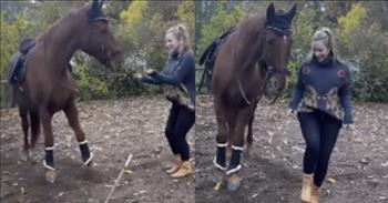 <p>A large but surprisingly agile and gifted animal showed off some impressive footwork, dance moves that would make many people envious.&nbsp;</p>

<p>Dancing is an art form that can take years and years of dedicated, intense practice to learn, and even then, it still won&rsquo;t be perfected. But moving to an upbeat and catchy tune always makes for a fun time. It doesn't matter if we have any skills on the dance floor. Of course, it&rsquo;s always a much better experience if we have some idea of what we&rsquo;re doing, especially if other people are watching.&nbsp;</p>

<p>As <a href="https://www.youtube.com/watch?v=fkUn44KBY_U">one hilarious video shows</a>, humans are not the only creatures on Earth that enjoy busting a move. A horse pulled out a few fancy steps, moving and grooving to the beat.</p>

<p>In the short, 40-second clip, Caribbean-type music begins playing. A woman standing next to a horse starts moving along to the beat. She shows, in a few steps, that she possesses plenty of rhythm and coordination.&nbsp;</p>

<p>Soon after she begins dancing, she performs moves like the always-popular Hokey Pokey. She puts her right foot forward and then moves it back and forth, shaking it all about. But then something unexpected and hilarious happens.</p>

<p>The horse standing on her right follows her lead. The massive animal then emulates its owner. It places its right leg forward and drags its limb back and forth. The horse then performs a similar move with its left front leg, putting it forward and kicking it backward.&nbsp;</p>

<p>Animals are smart beings, much more intelligent than a significant portion of the population would like to admit. The animal in the clip watched the young woman, saw what she was doing and then mimicked her motions. Animals are fascinating creatures.&nbsp;</p>

<p>The horse, while not a Fred Astaire, in just a few moves, demonstrated that it is probably a better dancer than a lot of people.&nbsp;</p>

<p><em><a href="https://www.godtube.com/bible/proverbs/12-10">Proverbs 12:10 </a>&ldquo;An upright man has thought for the life of his beast, but the hearts of evildoers are cruel.&rdquo;</em></p>
