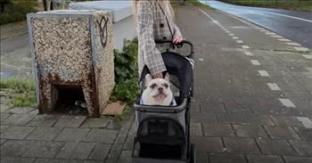 <p>A young and talkative French Bulldog has an odd, almost cartoonish-sounding bark that you must hear to believe!</p>

<p>All animals are beings formed and placed on Earth by the good Lord above. However, some animals, due to their cute personalities and odd, often hilarious ways, have become near and dear to the hearts of many.&nbsp;</p>

<p>A <a href="https://www.youtube.com/watch?v=L1288hbVGqc">clip posted on YouTube</a> depicts a 7-year-old French bulldog, Sunny, and his two owners as they go about their day with their pet. But this canine is almost assuredly unlike any other dog you&rsquo;ve encountered. Once you hear this dog&rsquo;s yelp, you&rsquo;ll never forget it.</p>

<p>This animal has plenty to say, and Sunny&rsquo;s bark sounds like it should be coming from a cartoon character. Wherever this dog and his unique bark goes, heads turn in his direction.</p>

<p>&ldquo;I think it&rsquo;s created by happiness but also excitement,&rdquo; Ortzy, one of the dog&rsquo;s owners, said. &ldquo;It&rsquo;s, like, a mix of all those feelings.&rdquo;</p>

<p>Sunny&rsquo;s startling sound came out of nowhere one day.</p>

<p>&ldquo;We had Sunny for seven years, and then one day, he started talking out of nowhere,&rdquo; Ortzy said.</p>

<p>And he has not stopped talking since that day.</p>

<p>Sunny&rsquo;s other owner, Mary, mentioned she&rsquo;s proud like a proud mother when it comes to her odd-sounding canine.&nbsp;</p>

<p>&ldquo;When he starts talking, I feel like a really proud mom because it&rsquo;s not really normal to see a dog making this sound,&rdquo; Mary said. &ldquo;I&rsquo;m just feeling proud of my baby, of my son.&nbsp;</p>

<p>However, Ortzy admits, initially, he had a much different reaction to Sunny&rsquo;s sound. He has since come around and accepts Sunny, his unique voice and his chatty ways.</p>

<p>&ldquo;At the beginning, I was super ashamed,&rdquo; Ortzy said. I was so embarrassed. But now I&rsquo;ve just come to terms with his screaming. We kind of answer when he talks to us. I do it just for fun, and I reply in the same way.&rdquo;</p>

<p><em><a href="https://www.godtube.com/bible/proverbs/12-10">Proverbs 12:10</a> &ldquo;An upright man has thought for the life of his beast, but the hearts of evildoers are cruel.&rdquo;</em></p>
