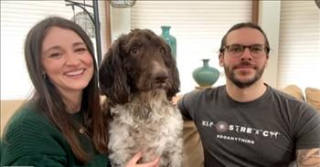 <p>A 7-year-old Goldendoodle enjoyed an expensive meal, as the animal ingested $4,000 in cash.</p>

<p>Pet owners and animal lovers would and do go to great lengths for their precious pets. As anyone privileged enough to have had a pet knows, they are near and dear to our hearts, quickly becoming family members.&nbsp;</p>

<p>Also, most pet owners understand animals are adventurous eaters and will eat nearly anything. There isn&rsquo;t much they won&rsquo;t eat or at least try to consume. The wide array of items an animal will scarf down apparently includes money. Carrie and Clayton Law learned this the hard way when their loyal and loving canine ate $4,000 in cash.</p>

<p>When Cecil, their 7-year-old Goldendoodle, found the stack of cash on the kitchen table, the animal helped himself to the pricey meal.&nbsp;</p>

<p>&ldquo;I was like, &lsquo;He ate the money! He ate the $4,000,&rsquo;&rsquo;&rsquo; Clayton said.&nbsp;</p>

<p>The money was supposed to go toward a fence in the couple&rsquo;s yard.&nbsp;&nbsp;</p>

<p>Most would be dejected after discovering that such a sizable chunk of money was gone. But then something started happening, leading the couple to believe the money may not be completely gone.</p>

<p>Cecil started vomiting, and Clayton made a startling discovery. He found pieces of 50 and 100-dollar bills in the animal's throw-up.&nbsp;</p>

<p>The Laws were able to find even more money after Cecil went outside and did his business.&nbsp;</p>

<p>Carrie said, in the <a href="https://www.youtube.com/watch?v=N6po3IHoO1Q">clip posted on YouTube</a>, that they were able to recover &ldquo;a little over 3,500 dollars.&rdquo;</p>

<p>&ldquo;We got back way more than we were expecting,&rdquo; Carrie added.</p>

<p>The bank was able to work with the couple and replaced most but not all of the destroyed bills.</p>

<p>Carrie said the people at the bank told her that this type of situation occurs more than you might anticipate.</p>

<p>&ldquo;Money goes through so many restaurants, and it touches so many hands, and it just acquires all these smells,&rdquo; Carrie said. &ldquo;And so dogs really like the smell of money.&rdquo;</p>

<p>Moral of the story: your money isn&rsquo;t even safe around your loyal, loving&nbsp; dog!</p>

<p><em><a href="https://www.godtube.com/bible/proverbs/12-10">Proverbs 12:10</a> &ldquo;An upright man has thought for the life of his beast, but the hearts of evildoers are cruel.&rdquo;</em></p>
