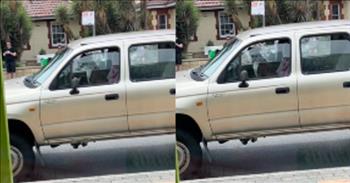 <p>One dog seemingly could not wait any longer and let its owner know it was beyond time to go, honking the vehicle&rsquo;s horn several times.</p>

<p>No one enjoys waiting. Waiting means I don&rsquo;t get what I want right now, at this exact moment. Developing patience is not any fun. In fact, doing so can often be painful and even frightening. Society is built on this idea of immediacy. There is fast food, instant potatoes, instant coffee and instant communication.&nbsp;</p>

<p>Humans do not appreciate being forced to wait for any extended period for anything. These can bring out the worst in individuals. People often become angry and agitated when forced to wait a few extra minutes. However, <a href="https://www.youtube.com/watch?v=isSky2I1mD4">according to a video posted on YouTube</a>, humans are not the only creatures on Earth who do not enjoy waiting.</p>

<p>The short, 40-second video shows a vehicle parked along the side of the road. But while there is no human in the truck, a dog moves anxiously back and forth and across the seats. It&rsquo;s clear that the animal is agitated and only becoming more so with every passing second.</p>

<p>The dog wants its owner to return to the vehicle and continue with their journey. But just in case there was any confusion about how the canine was feeling, it soon let everyone within a few blocks&rsquo; radius know.</p>

<p>The dog plops itself down in the driver&rsquo;s seat, looking as if it&rsquo;s ready to turn the truck on and drive. But then, around the 8-second mark of the clip, the dog hilariously hits the horn. It doesn&rsquo;t just do this once but six times.</p>

<p>The person filming the dog&rsquo;s impatient antics can&rsquo;t help but laugh at the annoyed canine&rsquo;s honking.&nbsp;</p>

<p>Being patient and being forced to wait for anything is not fun for anyone, especially, as it turns out, dogs.&nbsp;</p>

<p><em><a href="https://www.godtube.com/bible/psalms/37-7">Psalm 37:7</a> &ldquo;Take your rest in the Lord, waiting quietly for him; do not be angry because of the man who does well in his evil ways, and gives effect to his bad designs.&rdquo;</em></p>
