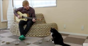 <p>Singer and songwriter Ed Sheeran is one of the biggest names in all of music, playing to thousands of screaming and adoring fans in sold-out venues, but despite all that success, cats don&rsquo;t appear to be fans of his.</p>

<p>For any musician to achieve a sustained and consistent career singing and writing songs, they must build up and acquire a loyal fanbase. That makes sense, right? They need people willing to buy their music and purchase tickets to see them perform in concert. However, that is much easier said than done.</p>

<p>Even Ed Sheeran, who is internationally known for such hits as &ldquo;Shape of You,&rdquo; &ldquo;Perfect&rdquo; and &ldquo;Shivers,&rdquo; has had trouble building up his fanbase among one particular segment of the population: felines.&nbsp;</p>

<p>In a <a href="https://www.youtube.com/watch?v=hH1WVerSaD0">clip posted on YouTube</a>, Ed visited a cat caf&eacute; in Japan. While there, Ed decided to play the felines a tune. While sitting in the center of the room, with guitar in hand, Ed is surrounded by cats chowing down.&nbsp;</p>

<p>Ed then asks his furry, four-legged friends if they want to listen to him play a song. But the second he strums his instrument, the cats scatter. Apparently, the cats did not want to enjoy a little music with their meal.</p>

<p>Several people in the room laugh about the fleeing felines. Ed gives a dejected look at his less-than-perfect reception. However, he does power through and continues playing, but his playing is still not well received. Several cats maintain their distance from him while they watch Ed cautiously.</p>

<p>The clip also shows that Ed got a similar reaction from the cats when he visited the very same cafe a decade earlier, in 2014. Instead of stopping to take in the free performance, they ran away.&nbsp;</p>

<p>It just goes to show you that not all music is for everyone.</p>

<p><em><a href="https://www.godtube.com/bible/ephesians/5-19">Ephesians 5:19</a> &ldquo;Speaking to yourselves in psalms and hymns and spiritual songs, singing and making melody in your heart to the Lord;&rdquo;</em></p>
