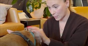 <p>Actress and business owner, Scarlett Johansson is being set up on a Dodo dream date! And the two of them seem to have a blast together!</p>

<p><a href="https://www.youtube.com/watch?v=vYCwS_-eA_E">The YouTube video</a> starts in Queens, New York, as we watch Ocean, a 12-year-old pittie, making her way to meet Scarlett. Scarlett is waiting with some cute dog toy roses to give to her for their special day together.</p>

<p>The two meet and Scarlett tells Ocean about what they are doing to do with their time together. She <a href="https://www.youtube.com/watch?v=vYCwS_-eA_E">says</a>, &ldquo;I hear that you&#39;re looking to have a &lsquo;me day&rsquo;&rdquo; and Ocean looks ready for a day of pampering.&nbsp;</p>

<p>The two make their way to the Outset offices, where Ocean starts her time there with a smoothie. The Outset company offers a line of clean and effective skincare essentials. The company was co-founded by Scarlett and Kate Foster.&nbsp;</p>

<p>Scarlett and Ocean use Outset products during their spa day. They start with a mani-pedi but Ocean seems more interested in her food. Scarlett mentions she made sure to use dog-friendly products with Ocean.&nbsp;</p>

<p>Ocean is super cute, enjoying her fun day. Scarlett comments, &ldquo;She&rsquo;s a little couch potato love bug.&rdquo;&nbsp;</p>

<p>The goal beyond the &ldquo;me&rdquo; day was to get Ocean ready to find her forever home. At the end of the video, we do see that shortly after her date with Scarlett, she did find it. She is pictured with her new mom and dad.&nbsp;</p>

<p>As the video closes, Scarlett asks Ocean, &ldquo;So when was the last time you had a spa day? Is that something that you do, like, once a week?&rdquo; What a precious pup and so great of Scarlett to take the time to help Ocean have a wonderful day.&nbsp;</p>

<p><em>&ldquo;Two are better than one; because they have a good reward for their labor.&rdquo; - <a href="https://www.godtube.com/bible/ecclesiastes/4-9">Ecclesiastes 4:9</a></em></p>
