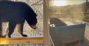 <p>A massive, furry creature, a black bear, was caught on camera &ldquo;having a blast&rdquo; as it took a dip in and enjoyed a jacuzzi.</p>

<p>Animals are created by the same God who placed the sun, moon and stars in place. They were formed and put on earth as part of His creation. Animals deserve love, care, kindness and respect.</p>

<p>However, love, care, kindness and respect can be administered from a distance. When it comes to some larger animals who tend to defend themselves furiously and ferociously when confronted by someone or something, it&rsquo;s best to show them care and respect in that manner.&nbsp;</p>

<p>One of those animals who lash out with deadly force when they feel threatened is the black bear. But instead of avoiding the bear, the animal visited a man and a woman.&nbsp;</p>

<p>In a <a href="https://www.facebook.com/todd.trebonemd/videos/116170407203101/?ref=embed_video&amp;t=1">clip posted on Facebook</a>, a man narrates a video of a black bear &ldquo;having a blast&rdquo; as it helps itself to his jacuzzi. The short 2-minute clip begins with the bear walking along the railing of a back porch. Soon enough, the bear gets off the railing and finds its way to the water-filled receptacle.</p>

<p>The man who films the fascinating clip states that the bear &ldquo;just knocked my jacuzzi top over&rdquo; before it decides to climb into the outdoor tub.</p>

<p>Once in the jacuzzi, the bear appears to be right at home. It sits up and enjoys the warm water as it gazes at the sunrise.&nbsp;</p>

<p>What more could a bear want? Maybe a couple of picnic baskets, perhaps?</p>

<p>The man cannot believe what is taking place on his back porch!&nbsp;</p>

<p>About 1 minute and 20 seconds into the clip, the man, for some reason, opens the door and steps out onto the porch with the bear. He stands silently and films the animal enjoying the jacuzzi until the bear spots him. The man then wisely goes back inside, away from the bear.</p>

<p>It&rsquo;s probably a good idea if you ever spot a bear using your jacuzzi without asking to allow it to continue doing so until it decides it has had enough time in the water.</p>

<p><em><a href="https://www.godtube.com/bible/proverbs/12-10">Proverbs 12:10</a> &ldquo;An upright man has thought for the life of his beast, but the hearts of evildoers are cruel.&rdquo;</em></p>
