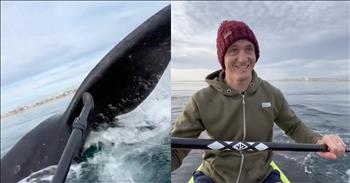 Paddleboarder's Hilariously Relaxed Reaction To Whale Sighting Goes Viral