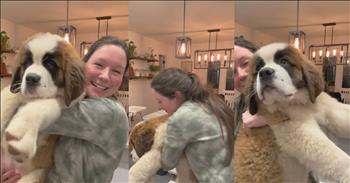 <p>At only 3 months old, a puppy, a Saint Bernard, is already a massive dog, coming in at a jaw-dropping 50 pounds.</p>

<p>Dogs and cats are universally loved. Most people can&rsquo;t walk by a dog or a cat without acknowledging them in some form or fashion, either with a friendly scratch on the head or talking to the animal in that weird baby talk people use when trying to communicate with cats and dogs.&nbsp;</p>

<p>But as much as people love canines and felines, there is only one thing they love more, and that&rsquo;s baby dogs and cats. Walk into a room with puppies and kittens, people naturally gravitate toward those small cute and lovable creatures. Most people simply can&rsquo;t resist those precious little beings.</p>

<p>Well, <a href="https://www.tiktok.com/@magmatthews_/video/7334162372535356714?embed_source=71929438%2C121374463%2C121351166%2C121331973%2C120811592%2C120810756%3Bnull%3Bembed_card_play&amp;refer=embed&amp;referer_url=www.sunnyskyz.com%2Fhappy-videos%2F13081%2FAdorable-Giant-A-Saint-Bernard-Puppy-039-s-Surprising-Size-At-Just-3-Months-Old-&amp;referer_video_id=7334162372535356714">a video posted on TikTok</a> proves that not all puppies are exactly small. In fact, they can be rather large, massive even.&nbsp;</p>

<p>The short, 30-second video begins with the woman asking viewers a simple, but shocking question.</p>

<p>&ldquo;Alright, you want to see what a 50-pound puppy looks like?&rdquo; she asks.</p>

<p>The woman then bends down, struggling at first to pick up her large canine friend. Eventually, with a grunt, the woman manages to secure the hefty pooch, showing the animal to viewers.</p>

<p>The Saint Bernard puppy is huge!</p>

<p>The woman, with the dog in her arms, moves closer to the camera, which gives viewers an even better look at her large animal.&nbsp;</p>

<p>&ldquo;She&rsquo;s only 3 months old,&rdquo; the woman says with a smile on her face.</p>

<p>As the woman holds the animal, one of the dog&rsquo;s paws is extended toward the camera. Its paw is absolutely huge!&nbsp;</p>

<p>The woman in the video is going to have herself a massive canine once that thing is fully grown. I would love to see the size of it once it&rsquo;s done growing!</p>

<p><em><strong><a href="https://www.godtube.com/bible/proverbs/12-10">Proverbs 12:10</a></strong> &ldquo;An upright man has thought for the life of his beast, but the hearts of evildoers are cruel.&rdquo;</em></p>
