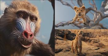 <p>The official trailer for Walt Disney's upcoming film &ldquo;Mufasa: The Lion King&rdquo; has been unveiled.</p>

<p>The Walt Disney Company is known for creating some of the most memorable, iconic and beloved characters ever. Disney has arguably impacted animation and filmmaking more than any other company. Mickey Mouse, Donald Duck, Pluto, Goofy and Minnie Mouse are just some of the many characters that are closely associated with the company.&nbsp;</p>

<p>In addition to the Walt Disney Company&rsquo;s beloved cast of animated characters, they have produced an impressive lineup of films throughout the decades. Those award-winning films, which all have a strong sense of nostalgia, have a special place in the hearts of millions.&nbsp;</p>

<p>One of those movies that means much to so many is the 1994 Academy Award-winning animated film &ldquo;The Lion King.&rdquo; Simba, Rafiki, Timon, Pumbaa and even the evil Scar are beloved characters. The songs are iconic, working perfectly with the stunning images on the screen. What is there not to love about &ldquo;The Lion King?&rdquo;</p>

<p>Now, 30 years after the original, Disney is stepping back into &ldquo;The Lion King&rdquo; story with the film &ldquo;Mufasa: The Lion King.&rdquo; <a href="https://www.youtube.com/watch?v=MjQG-a7d41Q">The trailer for the visually stunning cinematic work</a> has been released.&nbsp;</p>

<p><a href="https://www.imdb.com/title/tt13186482/?ref_=nv_sr_srsg_0_tt_2_nm_6_q_Mufasa">According to IMDB</a>, as the title implies, this film will investigate the origins of Simba&rsquo;s father, Mufasa. Of course, Mufasa was ruthlessly killed by his evil and jealous brother Scar in the opening moments of the original film. He was thrown into and then trampled during a stampede, making for one of the saddest moments in cinematic history.</p>

<p>&ldquo;Mufasa: The Lion King&rdquo; is scheduled to hit theaters days before Christmas, opening on December 20, 2024.</p>

<p>The film&rsquo;s cast is loaded with talent. Beyonc&eacute;, Seth Rogen, Donald Glover and Thandiwe Newton all lend their voices to the film.&nbsp;</p>

<p><em><strong><a href="https://www.godtube.com/bible/philippians/4-8">Philippians 4:8</a></strong> &ldquo;Finally, brothers, whatever things are true, whatever things are honest, whatever things are just, whatever things are pure, whatever things are lovely, whatever things are of good report; if there be any virtue, and if there be any praise, think on these things.&rdquo;</em></p>
