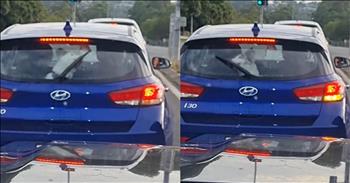 Dog's Hilarious Quest To Catch Elusive Windshield Wipers