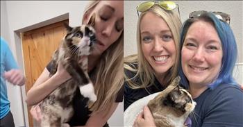 <p>Utah cat parents were thrilled to be reunited with their fur baby after she had traveled 600 miles from home in an Amazon box! What a ride that must have been!</p>

<p>Carrie Clark and her husband noticed that their sweet kitty, Galena, was missing on April 10, but they didn&rsquo;t dream that the <a href="https://www.nytimes.com/2024/04/29/us/amazon-package-cat-utah-california.html">6-year-old American shorthair</a> had been packaged up in an Amazon return box and sent out earlier that day!</p>

<p>Many of us have had pets get trapped behind a closet door or wander from our yards, but Galena got trapped inside a 3-by-3-foot box of steel-toed boots and traveled all the way from Lehi, Utah to an Amazon distribution center in California!</p>

<p>For a full week, Carrie Clark worried and wondered what happened to Galena. She told the <em><a href="https://www.nytimes.com/2024/04/29/us/amazon-package-cat-utah-california.html">New York Times</a></em>, &ldquo;We had absolutely no idea what had happened. It was really challenging; I was definitely in a lot of grief.&rdquo;&nbsp;</p>

<p>Thankfully, Carrie got a call on April 17 from a veterinarian in Riverside, California. Galena had been found by two Amazon employees and taken to the vet by Amazon associate Brandy Hunter. The vet then identified Galena through her microchip and contacted Carrie. Carrie and her husband flew to California the next day!</p>

<p>Watch their sweet family reunion!</p>

<p>Galena looks a bit wide-eyed and scared, but she warms up to her mom pretty quickly. Felines can have a little catitude, but Galena appears willing to forgive and forget that Dad boxed her up and sent her off.&nbsp;</p>

<p>The journey couldn&rsquo;t have been cozy with big, heavy boots surrounding her, but, fortunately, Galena escaped the ordeal with only a bit of weight loss and mild dehydration. What a blessing!</p>

<p>Because one of the box seams had come unglued, oxygen was allowed to circulate. And, since the weather had remained mild, Galena did not overheat or freeze. And, apparently, as Carrie tells the vet while she cuddles and rocks her pet, Galena &ldquo;is a fighter.&rdquo;&nbsp;&nbsp;&nbsp;</p>

<p><em>&ldquo;How many are your works, Lord! In wisdom you made them all; the earth is full of your creatures.&rdquo; <strong><a href="https://www.godtube.com/bible/psalms/104-24">Psalms 104:24</a></strong></em></p>
