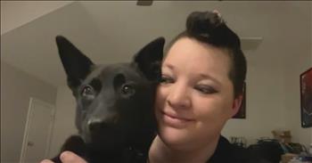 <p>A sweet and lovable pup who was caught on camera being abandoned has found a loving new home.</p>

<p>Animals are unique and fascinating beings. As all pet owners know, animals are different. Each animal possesses a personality, a set of habits and quirks unique to them. Like no two humans are precisely 100 percent alike, the same can be said for animals.</p>

<p>While they are different in many areas, one trait they all share is the ability to find their way into your heart. Spend a few days or even a couple of hours with a cat or a dog, and you&rsquo;ve got a dear friend, someone you can&rsquo;t imagine living life without.&nbsp;</p>

<p>However, there are still some people in this world who cruelly and callously abandon their pets. They choose to do this even when there are many other, better and more humane options.&nbsp;</p>

<p>A <a href="https://www.youtube.com/watch?v=lUS-69ByJCk">clip posted on YouTube</a> shows a lovable pet being left to fend for itself in a parking lot. The sad, scared and confused pet is seen chasing after the car and the person who just dumped and left the canine in a parking lot by itself.&nbsp;</p>

<p>Luckily, a kindhearted person saw the dog in the parking lot move and acted instead of ignoring it. When she approached the dog, the woman said the animal was so happy to see someone.</p>

<p>&ldquo;She was so happy, she was so sweet,&rdquo; Priscilla Garvey said. &ldquo;She was like, jumping up on me and was just so lovable.&rdquo;</p>

<p>Later, the clip points out, Priscilla noticed that the dog&rsquo;s abandonment and its desperate and heartbreaking move to catch the vehicle and the person who left her.&nbsp;</p>

<p>After Priscilla posted the heartbreaking footage of the puppy&rsquo;s abandonment on social media, the dog was driven across the country to her new home in North Carolina.&nbsp;</p>

<p>&ldquo;When I saw her video, I truly connected with her and decided, come heck or high water, she would be ours,&rdquo; Meredith Gintzig-Hayes said.&nbsp;</p>

<p><em><strong><a href="https://www.godtube.com/bible/proverbs/12-10">Proverbs 12:10</a></strong> &ldquo;An upright man has thought for the life of his beast, but the hearts of evildoers are cruel.&quot;</em></p>
