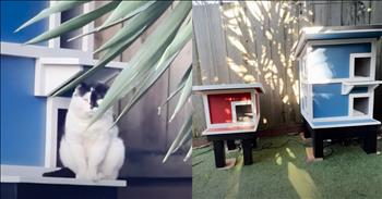 <p>Enjoy this YouTube video about a kind woodworker who constructed a beautiful home for a stray cat. The craftsman&rsquo;s generosity and sincerity are truly heartwarming!&nbsp;</p>

<p>The gentleman&rsquo;s name is <a href="https://www.upworthy.com/guy-builds-stray-cat-village-in-backyard">Barna</a>, and he is a hobby woodworker who happened to notice a skinny cat hanging out around his home. He set out a food dish and hoped the cat would help himself. Initially, the kitty ate nothing, but after several days of putting out food, he began to eat.&nbsp;</p>

<p>Soon, Barna had named the stray Domino, and the weather was becoming cold. With the winds and rain picking up, Barna decided he ought to build a shelter for Domino. And that is exactly what he did!&nbsp;</p>

<p>Trimmed in white, the red cat condo is equipped with a heating pad, a light, and a camera. The&nbsp;house has a little porch-like landing pad and two small entryways. It is luxurious! Domino watched Barna as he built the house, and he was ready on that first night to get some serious sleep&mdash;probably much more than a cat nap!&nbsp;</p>

<p>Domino enjoyed the house most nights during the winter, and he made a friend. A black female cat was enjoying Domino&rsquo;s company a great deal; they played together, and it appeared to be &ldquo;love&rdquo; to Barna. So, Barna built a bigger home for the couple!</p>

<p>A two-story, light blue version of the first, there was now room for several from the local cat community to crash overnight. Again, that&rsquo;s exactly what happened. While Domino&rsquo;s best buddy prefers a spot she&rsquo;s found in one of the backyard trees, there are four or five cats that enjoy the two houses Barna carefully crafted.&nbsp;</p>

<p>Barna was never trying to tame the cats. Instead, he just wanted them to feel safe. He said, &ldquo;It&rsquo;s just really gratifying to be able to make a positive impact on their lives.&rdquo;&nbsp;</p>

<p>Wow! Without an agenda or expectations, Barna used his skills and his time to address a need. The world would be a better place if we all met people where they are, observed the needs that exist, and used our gifts and resources to make lives better!</p>

<p>Thank you, Barna, for such an outstanding example!&nbsp;</p>

<p><em>&ldquo;She opens her arms to the poor and extends her hands to the needy.&rdquo; <strong><a href="https://www.godtube.com/bible/proverbs/31-20">Proverbs 31:20</a></strong>&nbsp;</em></p>
