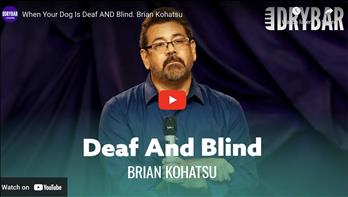 When Your Dog Is Deaf AND Blind. Brian Kohatsu