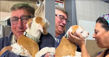 <p>Everyone loves a good puppy surprise video. In this clip, these parents are instantly smitten in this clip with their daughter&rsquo;s adorable new puppy.&nbsp;</p>

<p>In the description of this video, we read about how this young woman lost her 12-year-old dog to cancer recently. She and her parents have both been grieving the loss in their family. This surprise is more than just a cute puppy reveal; it is a welcoming of a new season after grief.</p>

<p>At the beginning, the daughter is opening the door to her parent&rsquo;s house. She sounds excited to see them, calling out hello. The description says, &ldquo;surprising my parents with my new puppy.&rdquo; The dad says, &ldquo;You&rsquo;re home early.&rdquo; As he comes around the corner in his yankee jacket, he quickly realizes that his daughter has a new puppy. His eyes get so big in excitement. The dad is overjoyed at the sight of this new pet.</p>

<p>The father reaches for the new pup and shouts, &ldquo;No way!&rdquo; He is in complete shock. He cuddles this precious puppy and asks if the dog is a boy or a girl. The daughter tells him that he is a boy named Archie. The dad is melting over the whole experience. She tells her dad that she has to go show him to her mom now. The dad is not willingly letting the cute dog go. Suddenly, the girl flashes the camera in the other direction and reveals that her mom has come to them. She says, &ldquo;Hi mom!&rdquo; Her mom asks what is going on. She sees the puppy, and her mouth drops to the floor. The mother is also in shock, comes up to the pet, and meets the pooch. The dad says, &ldquo;Look at him, we&rsquo;ve got a good one.&rdquo; They rave over his color how cute Archie is, and comment on how afraid he looks. The family is so excited.</p>

<p>Witnessing this surprise brings happiness. It is wonderful to see a family celebrating new life after the loss of their previous pet. It reminds us that God makes all things new.&nbsp;</p>

<p><em>&ldquo;Behold, I am doing a new thing; now it springs forth, do you not perceive it? I will make a way in the wilderness and rivers in the desert.&rdquo; <strong><a href="https://www.godtube.com/bible/Isaiah/43-19">Isaiah 43:19</a></strong></em></p>
