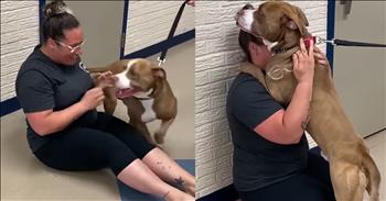<p>In a heartwarming tail of love and loyalty, an overjoyed dog reunited with its owner after two years in a heartwarming video! Loki, an emotional support dog, played a crucial role in his owner&rsquo;s life, providing comfort and companionship through rough times. Their separation was a heartbreaking chapter, but thanks to a tracking chip and a little divine intervention, their pawsome reunion became a reality.</p>

<p>The woman had almost lost hope of finding her furry friend but never stopped praying for his safe return. Then, in a miraculous turn of events, she received a call from Fort Wayne Animal Care &amp; Control. They had found Loki safe and sound and were able to identify him through his tracking chip. Her heart leaped with joy; her prayers had been answered.</p>

<p>When she arrived at the animal care facility, the anticipation was paw-sitively overwhelming. As soon as Loki saw her, his tail wagged furiously, and he bolted towards her, his excitement palpable. She dropped to her knees, tears streaming down her face, and Loki leaped into her arms, wrapping her in a heartfelt hug. It was a moment of pure joy, tears, and laughter &ndash; a reunion that could only be described as fur-tastic.</p>

<p>Witnesses described the scene as nothing short of a blessing. It was clear to everyone present that God's hand had guided Loki back to her. The Fort Wayne Animal Care &amp; Control team couldn&rsquo;t have been happier to play a part in this happy ending.&nbsp;</p>

<p>This touching story of the woman and Loki is a testament to the unbreakable bond between humans and their four-legged friends. It&rsquo;s a formidable example of love, faith, and the miracles that can happen when we least expect them. The reunion of the woman and Loki is more than just a happy ending; it&rsquo;s a celebration of the blessings that come our way, often when we need them the most. As the Bible says, "He will cover you with his feathers, and under his wings you will find refuge; his faithfulness will be your shield and rampart." (<a href="https://www.godtube.com/bible/psalms/91-4">Psalm 91:4</a>).</p>

<p><em><strong><a href="https://www.godtube.com/bible/psalms/91-4">Psalm 91:4</a></strong> "He will cover you with his feathers, and under his wings you will find refuge; his faithfulness will be your shield and rampart."</em></p>
