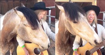<p>Horse astonishes with incredible guitar skills. Yes, you read that correctly. Check out this incredible video.</p>

<p>You probably have never seen anything like this: a stunning brown, white, and black multicolored horse stands proudly next to his owner while strumming the guitar. She holds the guitar and plays the chords as the horse strums the strings with his mouth. It is truly entertaining. The precious cowgirl is dressed in a cowgirl hat and buttoned-down shirt. She smiles and giggles as her horse plays the strings passionately to the song.</p>

<p>You can tell that the horse has quite a personality and is very fun. She is named Yupia. The caption comically reads, &ldquo;Yupia is getting better at guitar and would like to sign up for more lessons. For a donation of even $1, you can make a difference in this pony&rsquo;s career!&rdquo; Watching Yupia reminds us that anything is possible, God has a sense of humor, and mankind is still having dominion over the animals. Incredibly, this girl can train a horse to strum a guitar. The creativity is amazing. Many people would never even think of doing this type of activity. Watching this horse leads us to joy and laughter. There is really nothing quite like it out there.&nbsp;</p>

<p>What skill could you be cultivating? Is there something outside of the box that Yupia inspires you to try out? Never allow fear of failure to prevent you from trying something new. God might have already equipped you with the dream to accomplish something for His glory. Scripture tells us many verses about horses. Viewing horses reminds us of our own Savior, Jesus, who will one day return on a white horse. As we watch Yupia, the guitar-playing horse, may we be reminded that God works in amazing ways and He is the Creator of all things.</p>

<p><em>&ldquo;I saw heaven standing open and there before me was a white horse, whose rider is called Faithful and True. With justice he judges and wages war. His eyes are like blazing fire, and on his head are many crowns. He has a name written on him that no one knows but he himself.&rdquo; <strong><a href="https://www.godtube.com/bible/Revelation/19-11">Revelation 19:11-12</a></strong></em></p>
