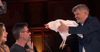 <p>Curry, the chicken&rsquo;s stunning magic act amazes judges on <em>America&rsquo;s Got Talent</em>. In a feather-ruffling performance that left the audience clucking for more, Curry the Chicken strutted onto the America&#39;s Got Talent stage with confidence and beak-tacular charm. Sporting her finest feathers, Curry didn&#39;t just lay eggs&mdash;she laid the groundwork for a cluck-tastic show!</p>

<p>For Curry to read your minds, she likes to come closer,&rdquo; he said as he walked off the stage and headed to the judge&#39;s table. Needless to say, some of the judges were a little chicken about the hen being so close.&nbsp;</p>

<p>As Curry approached the judge&#39;s table, Howie Mandel couldn&#39;t contain his egg-citement. Holding out his hands, he received a freshly laid egg from Curry, cracking open applause from the crowd. The judges, clearly impressed, were challenged to write down their fears, testing Curry&#39;s poultry psychic abilities.</p>

<p>With a keen eye and sharp beak, Curry pecked her way to success, accurately guessing each judge&#39;s phobia. From Simon Cowell&#39;s dread of giant spiders to Heidi Klum&#39;s fear of heights, Curry left no stone unturned&mdash;or egg uncracked!</p>

<p>As deliberations began, Curry&#39;s fate hung in the balance. Could a chicken and her clairvoyant talents really go on to compete at the highest level of talent show fame? The answer was as clear as a sunny day in the coop: Curry received a unanimous vote of confidence from all four judges!</p>

<p>With wings of triumph flapping, Curry and her owner clucked their way into the hearts of America, proving that talent comes in all shapes, sizes, and species. This plucky performance not only cracked the competition wide open but also laid the groundwork for a feathered journey to stardom.</p>

<p>From the coop to the stage, Curry showed that with a little peck-severance and a lot of egg-squisite talent, anything is possible. <em>America&#39;s Got Talent</em> just found its newest sensation, and her name is Curry&mdash;the cluck of the town!</p>

<p><em><strong><a href="https://www.godtube.com/bible/proverbs/17-22">Proverbs 17:22</a></strong> &quot;A joyful heart is good medicine, but a crushed spirit dries up the bones.&quot;&nbsp;</em></p>
