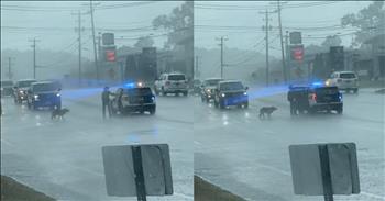 <p>In a heartwarming tale that&#39;s gone viral, a police officer&rsquo;s heartwarming act of kindness to a dog in the rain will make you want to stand up and clap for his generosity.&nbsp;</p>

<p>Trooper Lance Willis of the Tennessee Highway Patrol became a real-life superhero when he rescued a stray dog from a rainy predicament. Spotting the pooch wandering perilously in the middle of rush hour traffic, Trooper Willis sprang into action, parking his patrol car strategically with lights ablaze to halt oncoming vehicles. With a beckoning gesture, he stepped out into the rain and coaxed the hesitant dog into safety.</p>

<p>The dashcam footage capturing this act of kindness shows Trooper Willis patiently gaining the trust of the wary pup named <a href="https://www.inspiremore.com/police-officer-stops-in-the-pouring-rain-to-save-lost-dog-from-busy-road/">Luna</a>. Once aboard the safety of his vehicle, Luna found comfort in the company of her temporary rescuer, who ensured she was safe until animal control arrived. Luna was whisked off to <a href="https://www.facebook.com/adoptpetworks/">Petworks Animal Services</a>, where a reunion with her worried family awaited.</p>

<p>Relieved and touched by Luna&#39;s safe recovery, Trooper Willis expressed his gratitude upon learning that Luna&#39;s family had been <a href="https://www.inspiremore.com/police-officer-stops-in-the-pouring-rain-to-save-lost-dog-from-busy-road/">located</a>. Social media erupted with praise for the officer&#39;s compassionate gesture, with users hailing him as more than just a cop &ndash; he was a true hero for animals everywhere. &quot;Tennesse State Trooper Willis, you&#39;re my hero,&quot; one <a href="https://www.tiktok.com/@shaydagood/video/7388223109561666862?embed_source=121374463%2C121442748%2C121439635%2C121433650%2C121404359%2C121351166%2C121331973%2C120811592%2C120810756%3Bnull%3Bembed_blank&amp;refer=embed&amp;referer_url=www.inspiremore.com%2Fpolice-officer-stops-in-the-pouring-rain-to-save-lost-dog-from-busy-road%2F&amp;referer_video_id=7388223109561666862">commenter </a>shared, echoing the sentiments of many touched by the heartening rescue. Another <a href="https://www.tiktok.com/@shaydagood/video/7388223109561666862?embed_source=121374463%2C121442748%2C121439635%2C121433650%2C121404359%2C121351166%2C121331973%2C120811592%2C120810756%3Bnull%3Bembed_blank&amp;refer=embed&amp;referer_url=www.inspiremore.com%2Fpolice-officer-stops-in-the-pouring-rain-to-save-lost-dog-from-busy-road%2F&amp;referer_video_id=7388223109561666862">joked</a>, &ldquo;The dog is like I called for an Uber, but this nice policeman will do it!&rdquo;</p>

<p>In a world often filled with sirens and traffic, Trooper Willis&#39; selfless act stands out as a beacon of hope and compassion. Luna&#39;s story reminds us of the bond between humans and their furry companions, proving that even in the midst of a storm, there are always moments of kindness that shine through like a sunny day.</p>

<p><em><strong><a href="https://www.godtube.com/bible/psalms/23">Psalm 23:1-3</a></strong> &quot;The Lord is my shepherd; I shall not want. He makes me lie down in green pastures. He leads me beside still waters. He restores my soul. He leads me in paths of righteousness for his name&#39;s sake.&quot;&nbsp;</em></p>
