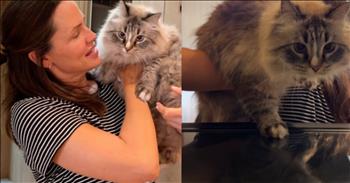 <p>Actress Jennifer Garner took her cute but large cat on a sweet tour in an adorable video posted on social media.</p>

<p>Most people love animals, even if they aren&rsquo;t current pet owners. How could you not have a soft spot in your heart for at least cats and dogs? They are some of the most loving, loyal and caring creatures you&rsquo;ll ever encounter on Earth.</p>

<p>In addition to their loving and loyal nature, felines and canines can be noisy little beings. Cats especially enjoy going to and checking out places they know they would do much better to avoid. But no matter how often you instruct a cat against doing something or going somewhere, the odds are good they will do that exact thing you told them not to do.</p>

<p>However, there are still some places that a cat, no matter how determined, cannot investigate. If that is the case, it&rsquo;s likely because it isn&rsquo;t physically able to reach it. In <a href="https://www.instagram.com/p/C9qRfURSk0U/">a video posted on Instagram</a>, Jennifer took her cat, Moose, on a tour of places in her house that the feline would not be able to reach on its own.</p>

<p>The tour begins with Jennifer opening her refrigerator and allowing Moose to glance at its contents. The feline is somewhat intrigued by these new sights!</p>

<p>Next, Moose gets to experience the inside of the microwave. Although, Moose didn&rsquo;t appear to be too thrilled by the microwave, at least at first. The cat momentarily latches onto Jennifer&rsquo;s shoulder, digging its claws into her. Her pained expression tells it all!</p>

<p>Moose also looks at the massive fish tank in Jennifer&rsquo;s house. Likely, the only thing going through Moose&rsquo;s mind while looking at the large glass container of water is &ldquo;food!&rdquo;</p>

<p>But as all pet owners know, once you show a cat a new place, they&rsquo;ll likely try to get back there on its own!</p>

<p><em><strong><a href="https://www.godtube.com/bible/proverbs/12-10">Proverbs 12:10</a></strong> &ldquo;An upright man has thought for the life of his beast, but the hearts of evildoers are cruel.&rdquo;</em></p>
