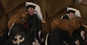<p>Sometimes, the most profound lessons in love and loyalty come from the simplest of places. In this heartwarming video, a precious pup's reluctance to part with a child heading off to school unfolds. Today, let&rsquo;s take a heartwarming journey into the world of Cocoa, a little dog with a big heart and her unshakeable devotion to her best friend, Noah.</p>

<p>Cocoa is no ordinary dog. Her love for Noah is so deep and pure that it&rsquo;s almost tangible. Each morning, as the sun rises and the routine begins, Cocoa finds herself in a bit of a dilemma: the prospect of saying goodbye to Noah as he heads off to school. And let me tell you, Cocoa&rsquo;s feelings about this are nothing short of dramatic.</p>

<p>In a charming video that has captured the hearts of many, we see Cocoa&rsquo;s earnest attempt to delay Noah&rsquo;s departure. As Noah&rsquo;s mom gently explains that it&rsquo;s time for Noah to go to school, Cocoa&rsquo;s response is a blend of whines, barks, and an adorable display of what can only be described as puppy arguments. Cocoa is not happy about the separation, and she certainly isn&rsquo;t shy about making her feelings known.</p>

<p>Cocoa&rsquo;s actions remind us of a truth that resonates with all of us: love knows no bounds. Cocoa&rsquo;s attachment to Noah is a sweet reminder of the ways in which love multiplies, even in our furry friends. Her reluctance to part with Noah and her heartfelt protests are a testament to the bond they share, a bond so strong that it moves her to act out in the most endearing ways.</p>

<p>This love story between a little dog and a little boy brings to mind the verse from <a href="https://www.godtube.com/bible/1-john/4-19">1 John 4:19</a> &ldquo;We love because he first loved us.&rdquo; Cocoa&rsquo;s devotion to Noah reflects the pure, unconditional love that we are called to embody in our own lives. It&rsquo;s a beautiful example of how love can inspire us to be more compassionate, cherish the moments we have, and show our affection in heartfelt and genuine ways.</p>

<p>As we watch Cocoa&rsquo;s daily struggle with the reality of Noah heading off to school, we&rsquo;re reminded that love is often expressed through our actions and reactions. Cocoa&rsquo;s loyalty and her emotional display are simple yet profound, teaching us that even in the smallest moments, love can shine brightly.</p>

<p>So, let Cocoa&rsquo;s story inspire us to embrace our own relationships with the same fervor and passion. Whether it&rsquo;s a furry friend or a loved one, let&rsquo;s celebrate the love that binds us and cherish the moments we have together. For in those moments of devotion, we catch a glimpse of something truly divine.</p>

<p><em><strong><a href="https://www.godtube.com/bible/1-john/4-19">1 John 4:19</a></strong> &ldquo;We love because he first loved us.&rdquo;</em></p>
