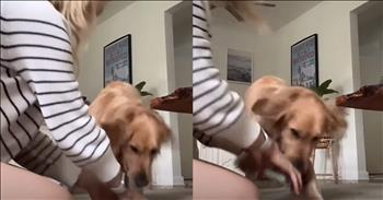 Dog's Hilarious Reaction to Shuffling a Deck of Cards