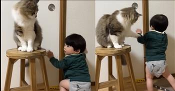<p>A clever and concerned cat hilariously prevented a toddler from opening a door.</p>

<p>All children seem to have a nasty habit of growing up and refusing to stay little forever. Most parents would love it if their youngster stayed a little child for just a while longer. But, of course, that is not possible. Children are constantly growing, learning and exploring.</p>

<p>As parents also know, children tend to get into everything. It's part of the learning process. They want to be and go everywhere, even if it might cause them to become hurt or injured. That's why children require constant supervision, especially when they reach the toddler phase. You never know what they may try to get into next.</p>

<p><a href="https://www.youtube.com/shorts/DwGMtWfgvX0">A clip posted on YouTube</a> shows that one feline seemed to understand that children must sometimes be protected from themselves. The concerned cat provides care in the most hilarious way possible, which is sure to get you doubled over with laughter.</p>

<p>The short video begins with the fluffy gray-and-white cat innocently sitting on a stool, minding its own business. As the cat positions itself on the stool, a little one, a toddler behind the cat, wants to explore.</p>

<p>The child behind the cat desperately wants to get into the next room and tries opening the door. However, the child runs into an unexpected and hysterical impediment to its plan: the feline.</p>

<p>Every time the child attempts to place a hand on the door, the cat reaches over and stops the toddler. The cat pulls the child's hand off the door, never allowing the little one to pull the door open.</p>

<p>It's a hilarious battle of wills. One woman behind the camera laughs as the cat and the child go back and forth.</p>

<p>In the end, it's the cat that is ultimately successful. The child is never able to open the door. The feline may have won this round, but something tells me that the cat's win-loss record will not improve as the child grows.</p>

<p><em><strong><a href="https://www.godtube.com/bible/genesis/1-21">Genesis 1:21</a></strong> "And God created great whales, and every living creature that moves, which the waters brought forth abundantly, after their kind, and every winged fowl after their kind: and God saw that it was good."</em></p>
