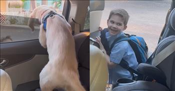 <p>Lucky, a lively golden retriever puppy, had a special job every afternoon&mdash;riding along with Luke's mom to pick him up from school. This dog&rsquo;s heartwarming reaction to seeing his boy after school is so precious!&nbsp;</p>

<p>Lucky was excited to ride in the car because he knew what that meant: he would be reunited with his best friend. The moment they pulled up to the school, his whole demeanor changed. His ears perked up, and his tail wagged uncontrollably. He would dash to the front door, ready to jump into the car. Sitting in the backseat, Lucky could barely contain his excitement as they approached the school.</p>

<p>As the car pulled into the pick-up line, Lucky&rsquo;s eyes were glued to the school doors. He watched intently, his tail thumping rapidly against the seat as kids started to pour out of the building. Every time someone came into view, Lucky&rsquo;s anticipation grew. He let out little whines, unable to contain the excitement bubbling up inside him. But when he finally saw Luke, his favorite human, walking toward the car, Lucky went into full overdrive.</p>

<p>He barked excitedly, paws pressing against the window as if trying to get closer to Luke. His whole body wiggled with joy, his tail wagging so fast it was a blur. His puppy energy was bursting at the seam, but&nbsp; Luke was ready for him. He laughed as he dropped his backpack and scooped up his furry friend. The joy in their reunion was undeniable, filling the car with warmth and happiness.</p>

<p>Lucky&rsquo;s joy was infectious as he licked Luke&rsquo;s face, his little barks a chorus of happiness. Luke hugged him tightly, happy to see his loyal companion. Their bond was evident in every interaction, in that moment, the long school day faded away, and all that mattered was being reunited with his best friend. As they settled back into the car, Luke and Lucky were a picture of pure joy&mdash;proof that the best part of the day is coming home to someone who loves you unconditionally.</p>

<p>Thank God for the incredible gift of friendship with animals. Their unconditional love, loyalty, and companionship brighten our days and bring joy to our hearts. Through them, we see a glimpse of God&rsquo;s kindness and creativity, and we are reminded of the beauty of connection and care.&nbsp;</p>

<p><em><strong><a href="https://www.godtube.com/bible/proverbs/12-10">Proverbs 12:10</a></strong> "The righteous care for the needs of their animals, but the kindest acts of the wicked are cruel."</em></p>
