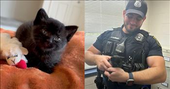 <p>A police officer adopted a kitten after rescuing it from the middle of a busy street.</p>

<p>Law enforcement officers regularly go above and beyond the call of duty. They are usually the first people to arrive on the scene whenever disaster or tragedy strikes, already doing something that most people do not. But they also often risk their lives and safety for others, doing much more than is required of them in their official, professional capacity.</p>

<p>Those men and women are often accurately described as heroes. They will do more and offer their assistance in unexpected ways. <a href="https://www.youtube.com/watch?v=d5fbPXEX30E">As one cute, tear-jerking video</a> on social media shows, kindness and going beyond the call of duty does not stop at humans. One officer helped a sweet, innocent little kitten.</p>

<p>While on duty, Officer Brennen Flanigan saw something unusual in the middle of the road. Instead of simply driving by, he pulled his vehicle over and stopped traffic, discovering that the thing in the middle of the street was a kitten. The video shows the officer pick up and save the kitten from the road.</p>

<p>But that is not where this story ends.</p>

<p>Officer Flanigan sought medical assistance for the feline and took her to the vet. He learned that the cat did have a slight eye infection but was otherwise healthy. After learning that the tiny kitten was not microchipped, the officer adopted the kitten and took her home.</p>

<p>The officer mentioned what he hopes to accomplish and show by adopting the sweet, precious kitten he found in the street.</p>

<p>&ldquo;What I hope the public takes away from this is, is no matter how small of an act you complete, it can really have a big impact, and that&rsquo;s what I hope to provide for this little kitten right here,&rdquo; the officer said.</p>

<p>What a beautiful act of kindness and love!</p>

<p><em><strong><a href="https://www.godtube.com/bible/proverbs/12-10">Proverbs 12:10</a></strong> &ldquo;An upright man has thought for the life of his beast, but the hearts of evildoers are cruel.&rdquo;</em></p>
