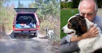 <p>A heroic dog saved her elderly owner&rsquo;s life by tracking down help after he fell and injured himself.</p>

<p>Dogs are some of the best beings you will encounter on this planet. They are loyal, dependable and loving. Also, most of the time, if you show one of those cute, furry and four-legged creatures any attention and love, you&rsquo;ve got a friend for life. How can you not have a soft spot in your heart for canines?</p>

<p><a href="https://www.youtube.com/watch?v=lhSi4GriJDE">A clip posted on YouTube</a> details a situation in Washington state where, if not for the heroic and loving actions of one dog, her owner would have died. Instead, the dog was able to track down help and led a deputy to its owner, who had fallen and gotten injured.</p>

<p>The video states that Keith Johnson, 84, was letting his dog Gita outside one more morning when things took a turn for the worse. Keith states that when he let the canine out, he &ldquo;got disoriented and dizzy.&rdquo; He eventually stumbled to the ground, dislocating and cracking his hip.</p>

<p>Keith remained on the ground, unable to move, for several hours. However, Gita, the 13-year-old dog, always the trustworthy and dependable companion, stayed by Keith&rsquo;s side the entire time. Eventually, Keith, understanding that he was in a terrible position, told Gita to find help.</p>

<p>Gita knew precisely what to do to get Keith some much-needed help.</p>

<p>The dog ran toward the highway and, while standing on the side of the road, caught the attention of a passing deputy. Eventually, Gita led the responding deputy straight to Keith. Gita&rsquo;s actions had literally saved Keith&rsquo;s life.</p>

<p>&ldquo;I get choked up thinking about it,&rdquo; Keith said. &ldquo;She knew what she was doing. I tell her I love her every time I talk to her.&rdquo;</p>

<p>Humans do not deserve dogs. God knew what He was doing when He put them on Earth.</p>

<p><em><strong><a href="https://www.godtube.com/bible/genesis/1-21">Genesis 1:21</a></strong> &ldquo;And God created great whales, and every living creature that moves, which the waters brought forth abundantly, after their kind, and every winged fowl after his kind: and God saw that it was good.&rdquo;</em></p>
