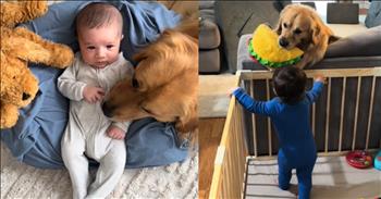 <p>This golden retriever melts hearts with his sweet and heartwarming act of love.&nbsp;</p>

<p>Dogs have earned the title of &lsquo;man&rsquo;s best friend&rsquo; for so many heartwarming reasons, and their loyalty and unconditional love make them unlike any other companion. They&rsquo;re always there for us no matter the situation. They give us their love and comfort when we need it most. And they love to provide hours of entertainment too. The best part of our day is when we arrive home, and our dogs greet us with their tail wagging and endless affection to lift our spirits. They become a family member in so many ways.&nbsp;</p>

<p>And that&rsquo;s what this couple discovered after the birth of their son Frankie. They couldn&rsquo;t figure out why extra dog toys were showing up in Frankie&rsquo;s playpen. When they realized what was happening, it melted their hearts in the sweetest way possible. Beau, their golden retriever, was the best big brother anyone could dream of.&nbsp;</p>

<p>In an utterly heartwarming video, the parents caught their lovable dog carefully dropping his own toys into the playpen for his baby brother. Sometimes, he&rsquo;d hop on the couch and gently drop a stuffie toy from above into the playpen. Other times, he would tenderly place a toy right next to his little brother&rsquo;s hands as if he were waiting to see if he liked the new toy he offered.&nbsp;</p>

<p>When they caught the dog in action, it made them realize why they kept finding Beau&rsquo;s toys in the nursery before Frankie had been born. Beau knew his little brother was coming, and he wanted to show how much he cared and how excited he was. He was sharing his toys as a way to say, &ldquo;I love you.&rdquo; As the parents reflected on all those little moments, it made them tear up as they realized the pair would have a special bond as Frankie grew up.&nbsp;</p>

<p>Just when you think you couldn&rsquo;t possibly love dogs more, moments like this remind us of how selfless and affectionate they truly are. Beau&rsquo;s simple act of love showed us how deeply our furry friends connect with us, and the bond between this pup and a little boy is sure to be a lifelong one.&nbsp;</p>

<p><em><strong><a href="https://www.godtube.com/bible/proverbs/17-17">Proverbs 17:17</a></strong> "A friend loves at all times, and a brother is born for a time of adversity."</em></p>
