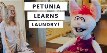 Petunia Learns Laundry