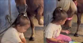 <p>A little girl&rsquo;s sweet interaction with a pony will make you smile. This child spending time and bonding with the miniature horse is likely to be one of the cutest things you see today. You&rsquo;ll probably have to watch it more than once because it&rsquo;s so cute!</p>

<p>Animals are precious beings placed on Earth by the same God who put the sun, moon and stars in their locations. How can you not love or, at the very least, appreciate those creatures? Most animals simply desire love and attention and will respond similarly if treated right, with kindness and gentleness.</p>

<p>Of course, there are some critters that we should all avoid for safety reasons. But for the most part, animals enjoy attention, kindness, gentleness and food. Food is a big part of the equation. <a href="https://www.youtube.com/watch?v=SKp4J87zolA">As one adorable clip shows</a>, having a bite to eat together is not just something humans enjoy doing with one another.</p>

<p>The short video begins with a young woman sitting in what appears to be a stable, enjoying a cup of fruit. Strawberries seem to be her fruit of choice. But instead of being greedy and keeping all those delicious pieces of fruit to herself, she decides to share.</p>

<p>The generous child offers a pony nearby a slice of fruit. With it resting in the middle of her palm, she holds the sweet treat up to the horse, saying &ldquo;Here&rdquo; as she does so. However, the pony&rsquo;s attempt to gobble up the treat does not go as planned. The animal knocks it out of her hand and onto the ground.</p>

<p>For several seconds, the girl points at the fruit on the ground, instructing the animal to pick it off the ground. However, the animal fails to follow the child&rsquo;s instructions. Shen then picks up the piece herself and offers it to the horse a second time. This time, it is a success as the horse scarfs the fruit down.</p>

<p>But that is not all. This bonding moment continues.&nbsp;</p>

<p>The girl goes back to enjoying her snack, and then the horse hilariously informs the child that it would like seconds and, possibly even thirds.</p>

<p><em><strong><a href="https://www.godtube.com/bible/proverbs/12-10">Proverbs 12:10</a></strong> &ldquo;An upright man has thought for the life of his beast, but the hearts of evildoers are cruel.&rdquo;</em></p>
