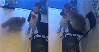 <p>A cat&rsquo;s precious and adorable reaction to a crying child will absolutely melt your heart. The feline&rsquo;s move is entirely unexpected, but it is still so incredibly heartwarming. You will most certainly want to check out this clip.</p>

<p>For anyone who has ever had a cat or even had much interaction with one, you understand they are some of the most stubborn, hard-headed creatures on Earth. They will not do anything unless they 100% want to do it. No amount of pleading or prodding from you will change their will either.</p>

<p>In addition to being strong-willed, felines can also be incredibly sweet. Many love nothing more than jumping on the couch and cuddling beside you. That side of them may not come out as often as their stubbornness, but it most certainly exists. <a href="https://x.com/PunchingCat/status/1853282399771050483">A clip posted on social media</a> caught this sweet and loving side of one cat.</p>

<p>In the video, a young man is wailing loudly and crying for some unexplained reason. Moments later, a large, fluffy cat enters the room with the upset child. The toddler's loud noises don&rsquo;t seem to bother the feline. In fact, the cat walks right by the young man, stops and then turns back around to the little guy.</p>

<p>What happens next is both shocking and so darn cute and sweet!</p>

<p>After turning back around to the upset child, the cat attempts to stand up, using the kid to balance itself. It then basically gives the toddler a concerned pat on the shoulder. The cat clearly understands that the child is in distress and wants to do something to help.</p>

<p>But that light tap on the shoulder is not the cat's only comforting move. The cat then climbs onto a nearby chair, gets at the child&rsquo;s eye level and begins rubbing its face on the child as he continues crying.</p>

<p>The cat is 100% trying to comfort the child.&nbsp; How sweet!</p>

<p><em><strong><a href="https://www.godtube.com/bible/genesis/1-21">Genesis 1:21</a></strong> &ldquo;And God created great whales, and every living creature that moves, which the waters brought forth abundantly, after their kind, and every winged fowl after his kind: and God saw that it was good.&rdquo;</em></p>
