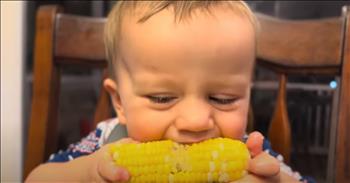 <p>A sweet little guy absolutely loves corn on the cob. When a young child is given corn on the cob, he quickly and surprisingly devours it, not wanting any piece to go uneaten. This clip is so cute, and given the child&rsquo;s obvious love of corn, it's pretty hilarious, too.</p>

<p>Young children are typically picky eaters. Parents know and understand this reality all too well. Place some food before a youngster, and they will likely turn their nose up at it. Often, for reasons that go unexplained, children will refuse to eat an item. Oddly enough, children will even act this way when given something they used to eat. Again, there is often no rhyme or reason for this behavior.</p>

<p>But if a youngster comes across something they enjoy, they will make their love for the newly discovered food apparent and evident to all. It may even get to the point that the child starts acting out because they are not getting the particular food item fast enough. Once again, all parents are familiar with this behavior.</p>

<p><a href="https://www.youtube.com/watch?v=M3BeqzmyMms">A clip posted on YouTube</a> captures one young man&rsquo;s deep love for corn on the cob. The short but hilarious video begins with the little guy, who remains unable to express his desires using words, trying to show his mother what he wants.</p>

<p>She asks the child what he wants, and he makes a quick lapping motion with his tongue. Mom questions the youngster again, and he makes the same hysterical motion with his tongue. He may not be able to say it, but guessing by what happens next, I&rsquo;m guessing that meant: &ldquo;Corn on the cob now, please!&rdquo;</p>

<p>The rest of the clip shows the little guy with corn on the cob in his hands and mouth. He appears to be in absolute heaven, considering how he refuses to take his eyes off the corn and chows down on the vegetable.&nbsp;</p>

<p>Near the end of the video, someone off the camera can even be heard commenting, &ldquo;He demolished it!&rdquo;</p>

<p>Get that little guy some more corn!</p>

<p><em><strong><a href="https://www.godtube.com/bible/1-corinthians/10-31">1 Corinthians 10:31</a></strong>&ldquo;Whether you eat, or drink, or whatever you do, do all to the glory of God.&rdquo;</em></p>
