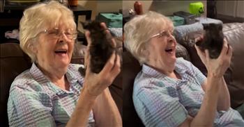 <p>Sometimes, the smallest blessings remind us of God&rsquo;s goodness and the simple joys He places in our lives. That&rsquo;s exactly what happened in this adorable video when a 92-year-old&rsquo;s heartwarming reaction to a kitten goes viral.&nbsp;</p>

<p>Arlene met a tiny rescue kitten that could fit right in her hands. In a precious video captured by her neighbor, Dorie Kirk, Arlene&rsquo;s reaction is nothing short of priceless. With a smile that lights up the room, she held the tiny kitten close and <a href="https://www.youtube.com/shorts/kXPNTmIF2qU">said</a>, &ldquo;Look at that face! Oh, it&rsquo;s too cute.&rdquo; Can you imagine the joy in her heart?</p>

<p>Kittens truly are the perfect gift from above, wrapping us in their softness and bringing endless joy into our lives. With their cute and spicy personalities and furry charm, they have a way of sneaking right into our hearts and making everything feel a little brighter. Whether they're playfully chasing their own tails or curling up for a nap, kittens remind us that life&rsquo;s simplest moments can be the most fantastic. Their tiny paws and whisker-tingling cuteness make them the best gift, one that keeps giving love, laughter, and occasional kitten chaos.</p>

<p>This heartwarming moment has an even sweeter <a href="https://abc7chicago.com/post/kitten-and-elderly-neighbor-are-unlikely-friends/15545813/">backstory</a>. The kitten was one of several found abandoned by Dorie&rsquo;s son, who made sure the helpless animals found safety and love. Thanks to Dorie&rsquo;s son, the kittens are now have a forever home. And they brought a special bond to Dorie&rsquo;s 92-year-old neighbor. Arlene visits her furry friends every few days, building a relationship that&rsquo;s both unique and filled with love.</p>

<p>This tender connection between Arlene and the kitten is a beautiful reminder of how God uses His creation to bring joy and comfort. Even in the smallest creatures, we see His handiwork and the way He uses them to touch our hearts.</p>

<p>If you need a reason to smile today, let this sweet moment inspire you. Whether it&rsquo;s a kitten&rsquo;s gentle purr or the kindness of a neighbor, God&rsquo;s love is in the details of our everyday lives. Take a moment to embrace the little joys He&rsquo;s placed around you&mdash;you never know how much happiness they might bring!</p>

<p><em><strong><a href="https://www.godtube.com/bible/isaiah/11-6">Isaiah 11:6</a></strong> "The wolf will live with the lamb, the leopard will lie down with the goat, the calf and the lion and the yearling together; and a little child will lead them."</em></p>
