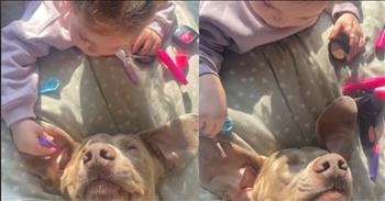 <p>Some moments in life are so pure they melt your heart instantly. This little girl pampers her dog, Frank&ndash;and the animal absolutely loves it. Who wouldn&rsquo;t love a spa day? To be soothed, massaged, and loved on is a little slice of heaven for anyone. And Frank, a Weimaraner, is all ears for it&ndash;literally.&nbsp;</p>

<p>As he lies on little Halle&rsquo;s bed, he sprawls on his back, enjoying every bit of attention Halle gives him. His ears are laid back against the bed, making for a cute photo opportunity that Halle&rsquo;s mother couldn&rsquo;t help but capture. Halle tenderly rubs his ears with a makeup brush and then a little lipstick before moving on to rub his forehead and cheeks. The dog is grinning from ear to ear, and I&rsquo;m shocked he didn&rsquo;t drool. I know I would be with that kind of pampering.&nbsp;</p>

<p>The video, which has already racked up over 11 million <a href="https://www.tiktok.com/@frankandhalle/video/7409245365695696160">views</a>, has touched hearts everywhere. Comments have poured in about how beautiful their bond is and how Frank might just be the luckiest dog alive. One viewer <a href="https://www.tiktok.com/@frankandhalle/video/7409245365695696160">commented</a>, &ldquo;This is so sweet little girl playing beauty parlour with her bestie.&rdquo; Another added that it must&rsquo;ve been Frank capturing the video; he <a href="https://www.tiktok.com/@frankandhalle/video/7409245365695696160">said</a>, &ldquo;It feels like your doggo is the one holding the phone and capturing this moment with his best friend to show you later.&rdquo; Another viewer couldn&rsquo;t help but praise Zoe for Halle&rsquo;s actions. She <a href="https://www.tiktok.com/@frankandhalle/video/7409245365695696160">said</a>, &ldquo;When you&rsquo;re an amazing parent who teaches your child to be so extra kind to animals and it shows!&rdquo;&nbsp;</p>

<p>No matter how you slice it, the dog was being loved, and Halle was learning how to show love. There is just something about childhood pets that teaches us all sorts of things about the world. Besides having a built-in best friend and playmate, we get to learn about kindness, compassion, and tenderness while we play. We hope this extra cute video warmed your heart. What an adorable moment captured on camera.&nbsp;</p>

<p><em><strong><a href="https://www.godtube.com/bible/proverbs/17-17">Proverbs 17:17</a></strong> "A friend loves at all times."</em></p>
