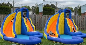 <p>This toddler and cat&rsquo;s inflatable slide fun is too cute to miss. The child and his four-legged, furry friend having a good time outside will surely be among the cutest, most heartwarming things you will see today. Check out this video for the sweet moment!</p>

<p>Animals are some of the best creatures on Earth. They are lovable, dependable and loyal to a fault. Show an animal a little bit of kindness, attention and love, and you will have yourself a friend for life. And for those who have or have had pets in the past, understand that those will end up being some of the best, most fulfilling friendships.</p>

<p><a href="https://www.tiktok.com/@mallory_jade/video/7416424548960177451">A clip posted on social media</a> captured what is likely one of the most hilarious and moving scenes. For some unexplained reason, an inflatable slide was in someone&rsquo;s backyard. Instead of letting that item sit there and go to waste, a toddler and a feline found a way to put it to good use.</p>

<p>The woman who posted the short, 12-second video indicated, with text in the video, that she walked outside and spotted the young man and the cat enjoying the side together. So, of course, when seeing something that cute and innocent, you must film it.</p>

<p>The video starts with the young man struggling to climb the inflatable slide. However, sure enough, he does manage to win that battle. But before he gets to the top of the inflatable slide, a black-and-white feline also makes its way down the slide.&nbsp;</p>

<p>Seconds after the cat makes its way to the bottom, the child, face-first and screaming excitedly, barrels his way down the slide. However, the cat and the child weren&rsquo;t satisfied with just one go around. Immediately after completing their trip down the slide, they ascend the inflatable contraption to do it once again.</p>

<p>See, I told you it was super cute.</p>

<p><em><strong><a href="https://www.godtube.com/bible/genesis/1-21">Genesis 1:21</a></strong> &ldquo;And God created great whales, and every living creature that moves, which the waters brought forth abundantly, after their kind, and every winged fowl after his kind: and God saw that it was good.&rdquo;</em></p>
