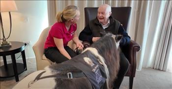 <p>Some adorable ponies are helping to spread friendship and smiles among nursing home residents. These miniature horses brighten the days of people who need it the most. Check out the clip for the sweet and heartwarming story.</p>

<p>Everyone wants and needs friends and to know that someone cares about them and their well-being. Loneliness is one of the worst feelings in the world. Even natural introverts who would rather spend most of their free time by themselves still need friends and those relationships.</p>

<p>Sadly, some of the loneliest people are elderly individuals. Because of their age and loss of mobility, they cannot get out often and connect with others. That&rsquo;s why it&rsquo;s important to make a concerted effort to visit and keep in contact with older adults. A quick, short conversation or a smile at someone feeling all alone could make a world of difference.</p>

<p>In <a href="https://www.youtube.com/watch?v=YkeiJ2qAB8o">a clip posted on YouTube</a>, one woman in England and her furry, four-legged pals are working to brighten the days of nursing home residents. The smiles and utter joy on their faces as they interact with the Shetland ponies are enough to make you shed a tear or two.</p>

<p>Two of the women in the clip even kiss the tiny, kind animals on the head as they hug and pet the horses.</p>

<p>&ldquo;We&rsquo;re quite good pals, aren&rsquo;t we?&rdquo; one of the residents asks the pony. &ldquo;Quite good pals.&rdquo;</p>

<p>Sarah Woodland, the woman behind the Shetland pony visits, said the horses provide the residents with a momentary escape.</p>

<p>&ldquo;It&rsquo;s something else for them to focus on, isn&rsquo;t there?&rdquo; she said. &ldquo;So, it&rsquo;s something else for them to think about, to focus on, to love.&rdquo;</p>

<p>It&rsquo;s amazing the difference a little bit of kindness and love can make in the lives of others.&nbsp;</p>

<p><em><strong><a href="https://www.godtube.com/bible/genesis/1-21">Genesis 1:21</a></strong> &ldquo;And God created great whales, and every living creature that moves, which the waters brought forth abundantly, after their kind, and every winged fowl after his kind: and God saw that it was good.&rdquo;</em></p>
