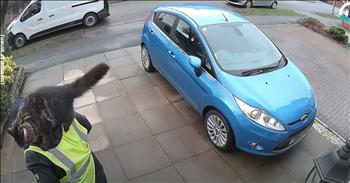 <p>A cat&rsquo;s heartwarming interaction with a delivery driver will brighten your day. This friendly feline&rsquo;s precious but unexpected move caught the man in the video off-guard. Check out the video to see what the cute, furry, four-legged creature did that momentarily shocked and surprised the delivery driver.</p>

<p>No two animals are entirely the same. When it comes to personality, even two kittens from the same litter can and often do act completely differently. One may be incredibly standoffish, choosing to avoid most people at all costs. However, the other kitten may be the friendliest animal you&rsquo;ve ever met. It may be one that loves and welcomes human interaction, almost demanding to be pet and scratched.&nbsp;</p>

<p><a href="https://www.youtube.com/watch?v=jIS0HkAVB5s">A short and cute clip posted on social media</a> captured one cat&rsquo;s interaction with someone either picking up or dropping off a package. The video starts with the delivery driver hard at work, furiously typing away on his handheld device.</p>

<p>However, a cat lurks behind the delivery driver, plotting its next move. Little did the man in the video know that the feline&rsquo;s next move would involve him. The cat slowly approaches the man, meowing as it does, then leaps into the air and lands on the delivery driver&rsquo;s shoulders.</p>

<p>Of course, having an animal unexpectedly land on your back would surprise everyone. The startled delivery responds with laughter as he tries to figure out what just happened. He even takes a few steps around the driveway, but the cat does not move, choosing to stay in its newfound location.</p>

<p>About halfway through the clip, a woman, likely the homeowner, appears and quickly removes the friendly feline from the shoulders of the delivery driver. A pleasant, playful cat is always better to encounter than a ferocious, menacing, territorial pit bull or rottweiler.</p>

<p><em><strong><a href="https://www.godtube.com/bible/genesis/1-21">Genesis 1:21</a></strong> &ldquo;And God created great whales, and every living creature that moves, which the waters brought forth abundantly, after their kind, and every winged fowl after his kind: and God saw that it was good.&rdquo;</em></p>
